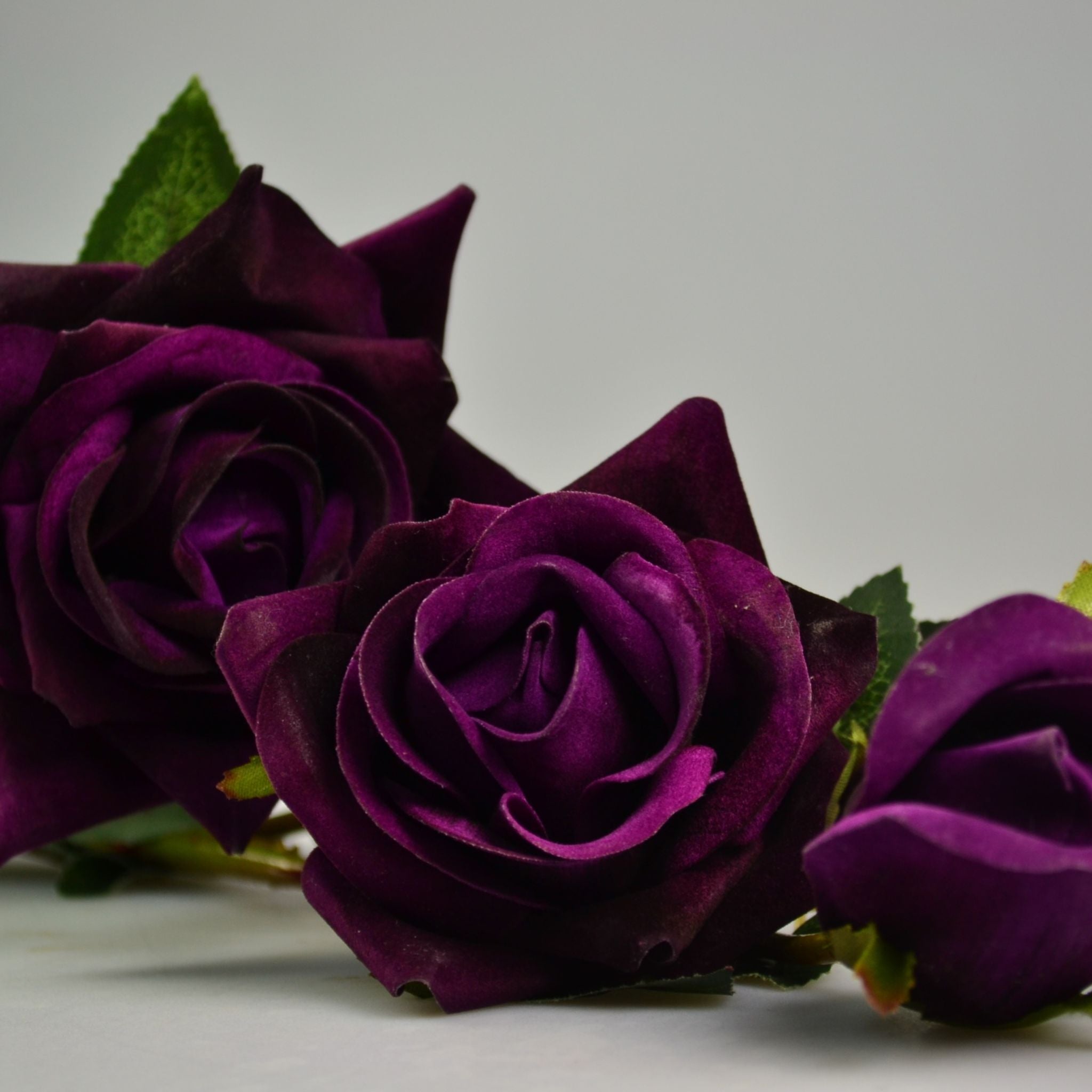 Montale Dark Purple perfume