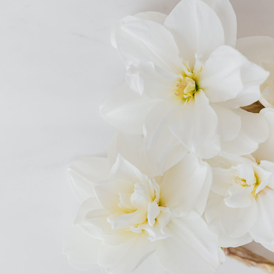 Valaya Exclusif Perfume Review