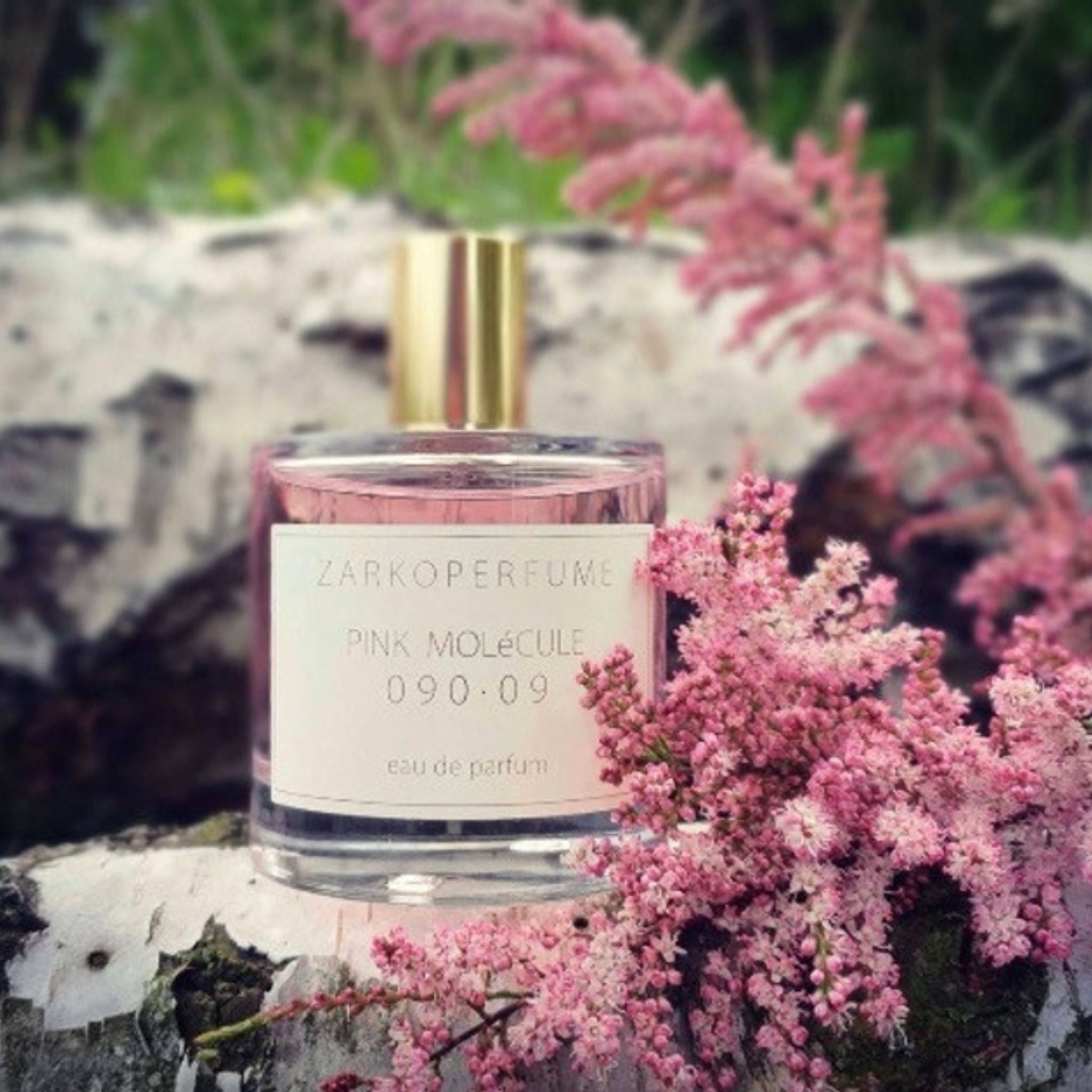 Perfume Zarkoperfume Pink Molecule