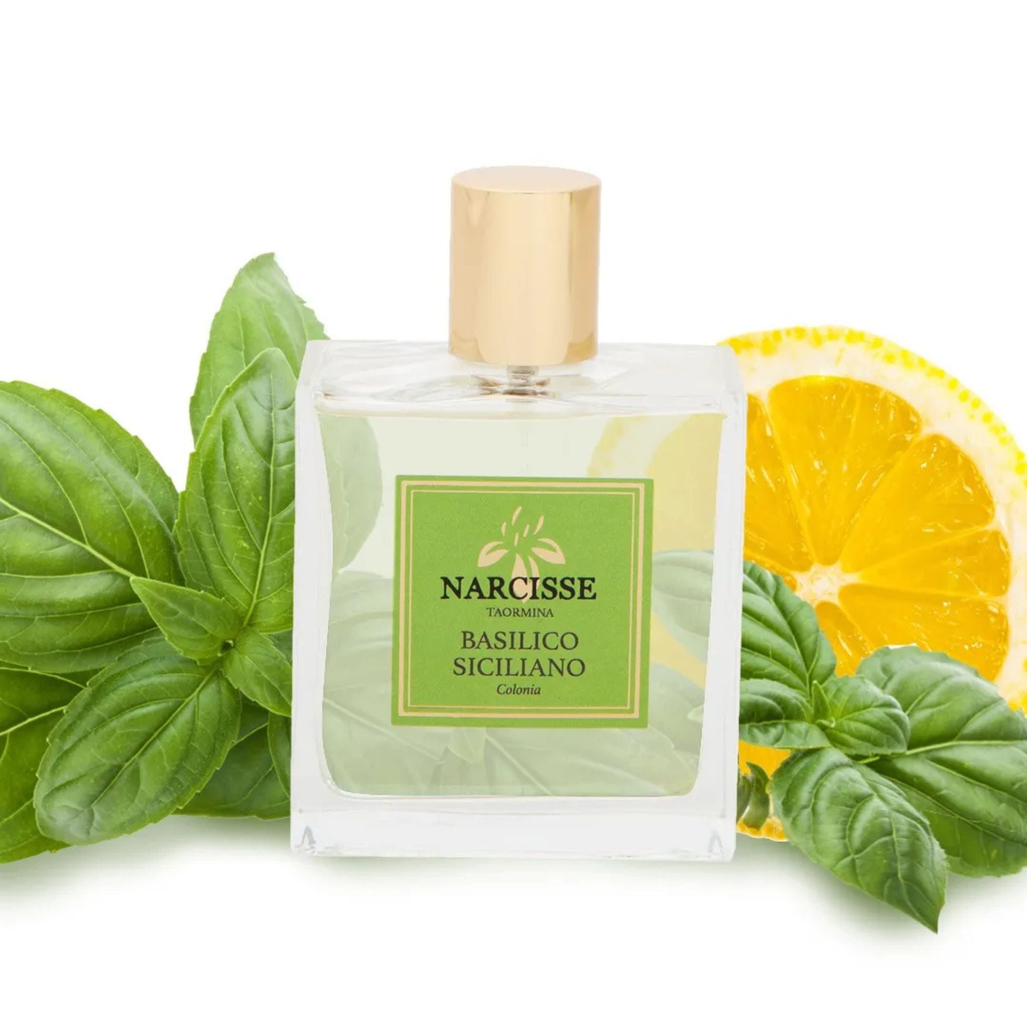 Narcisse Taormina Basilico Siciliano