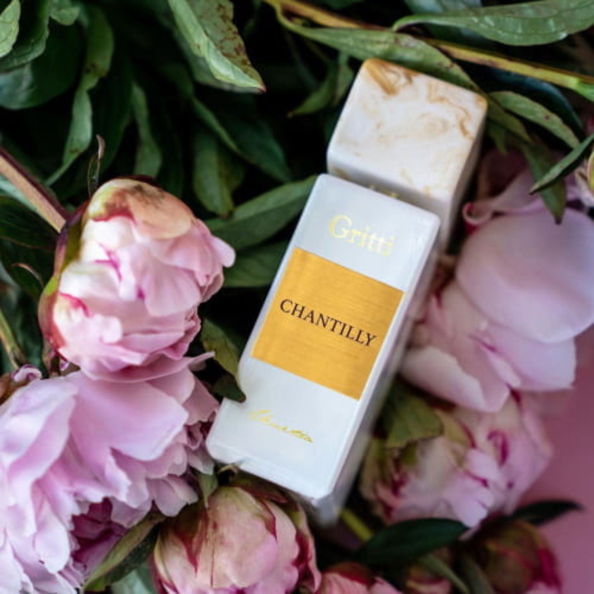Fragrance Chantilly Gritti