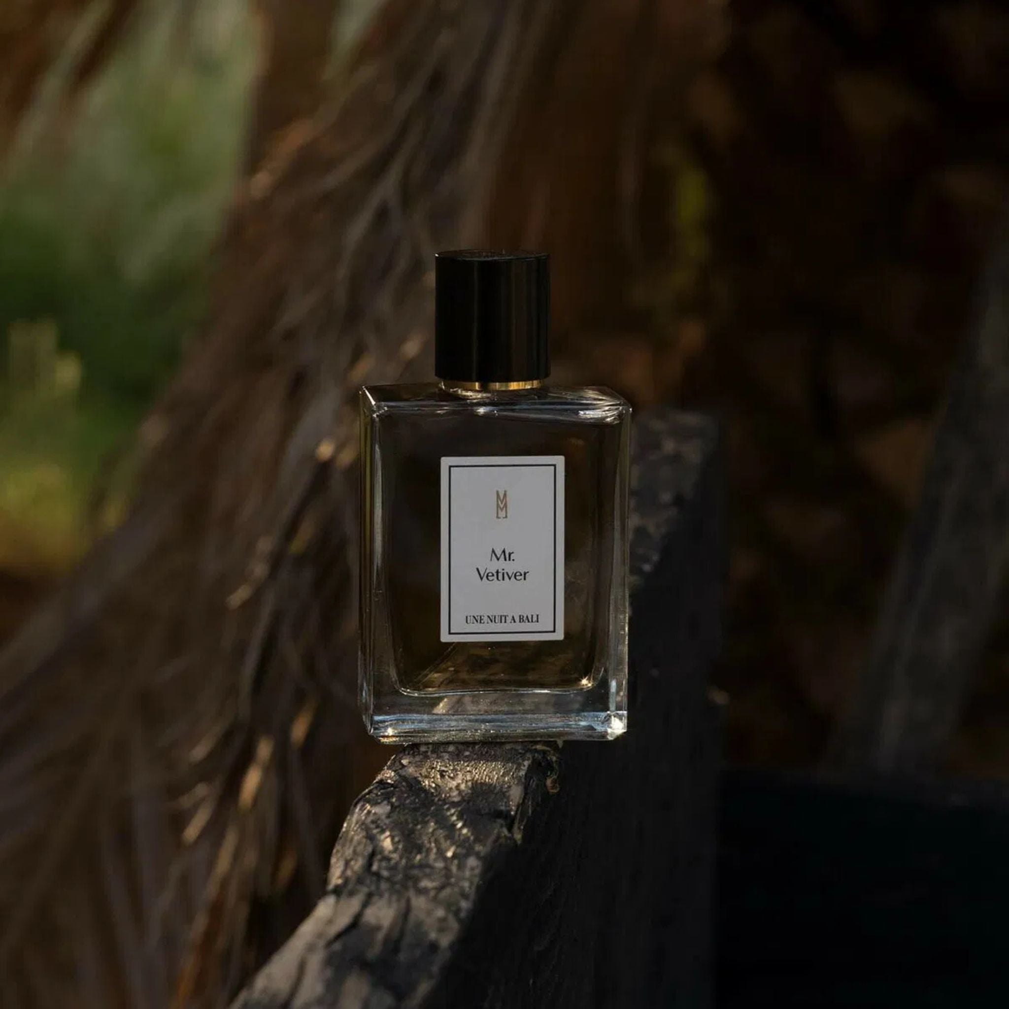 Perfume Une Nuit Nomade Mr. Vetiver