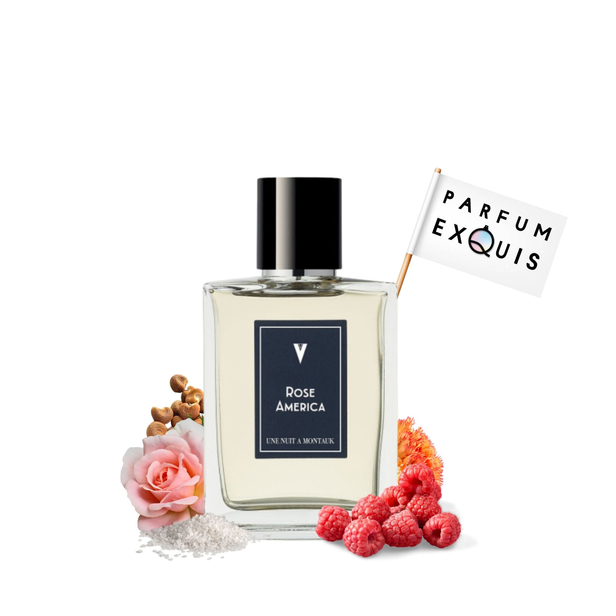 Une Nuit Nomade Rose America