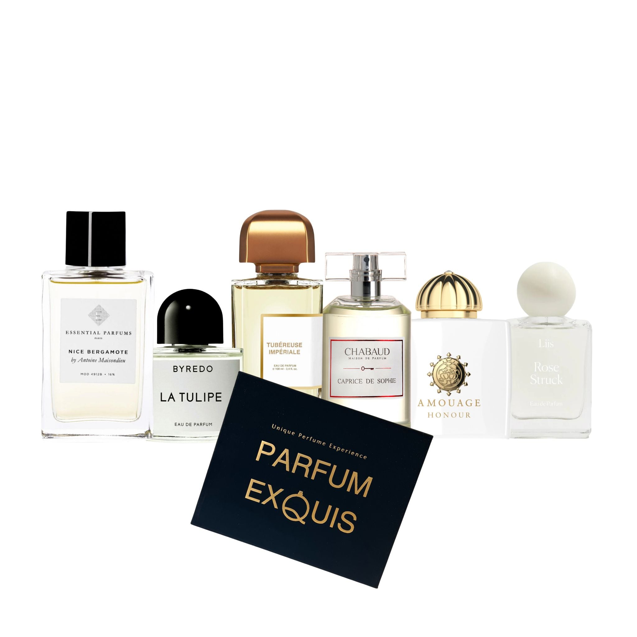 Spring Discovery Set