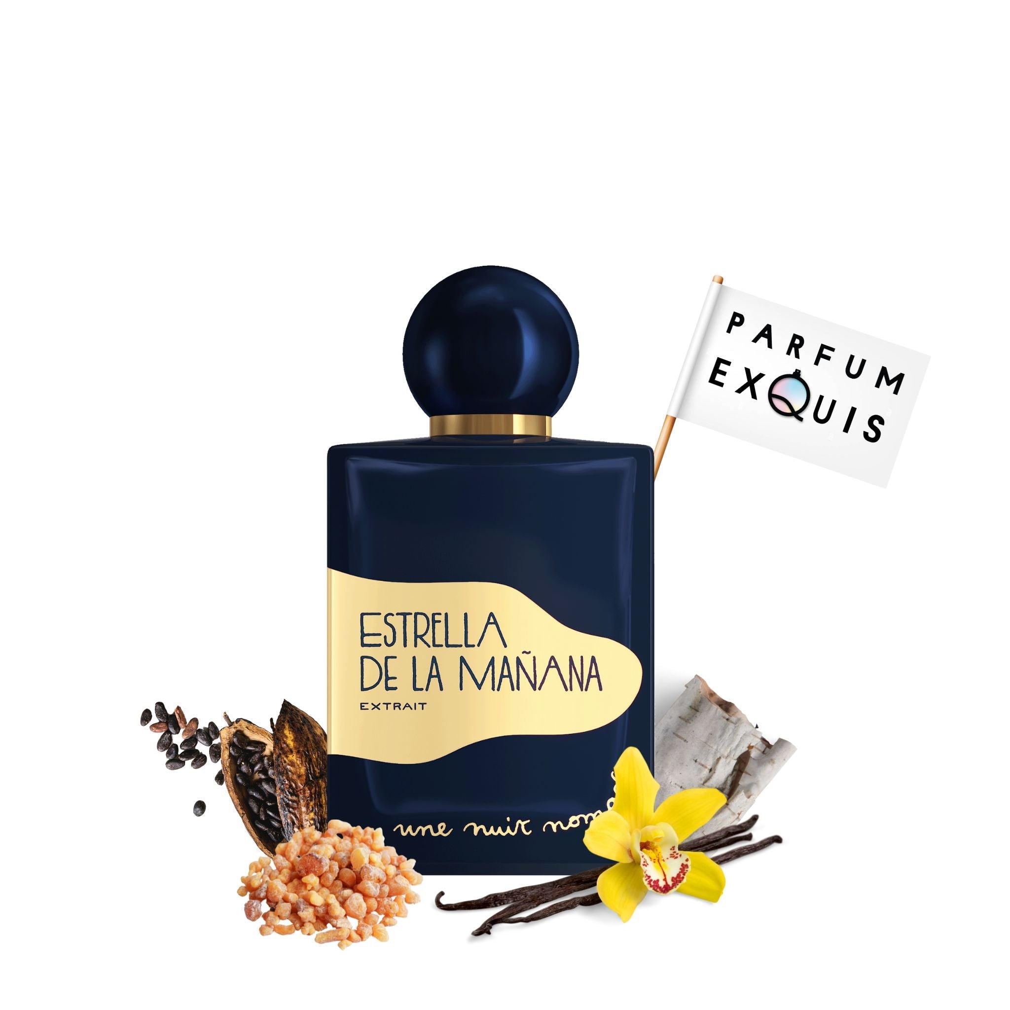 Estrella de la Manana Extrait Une nuit Nomade