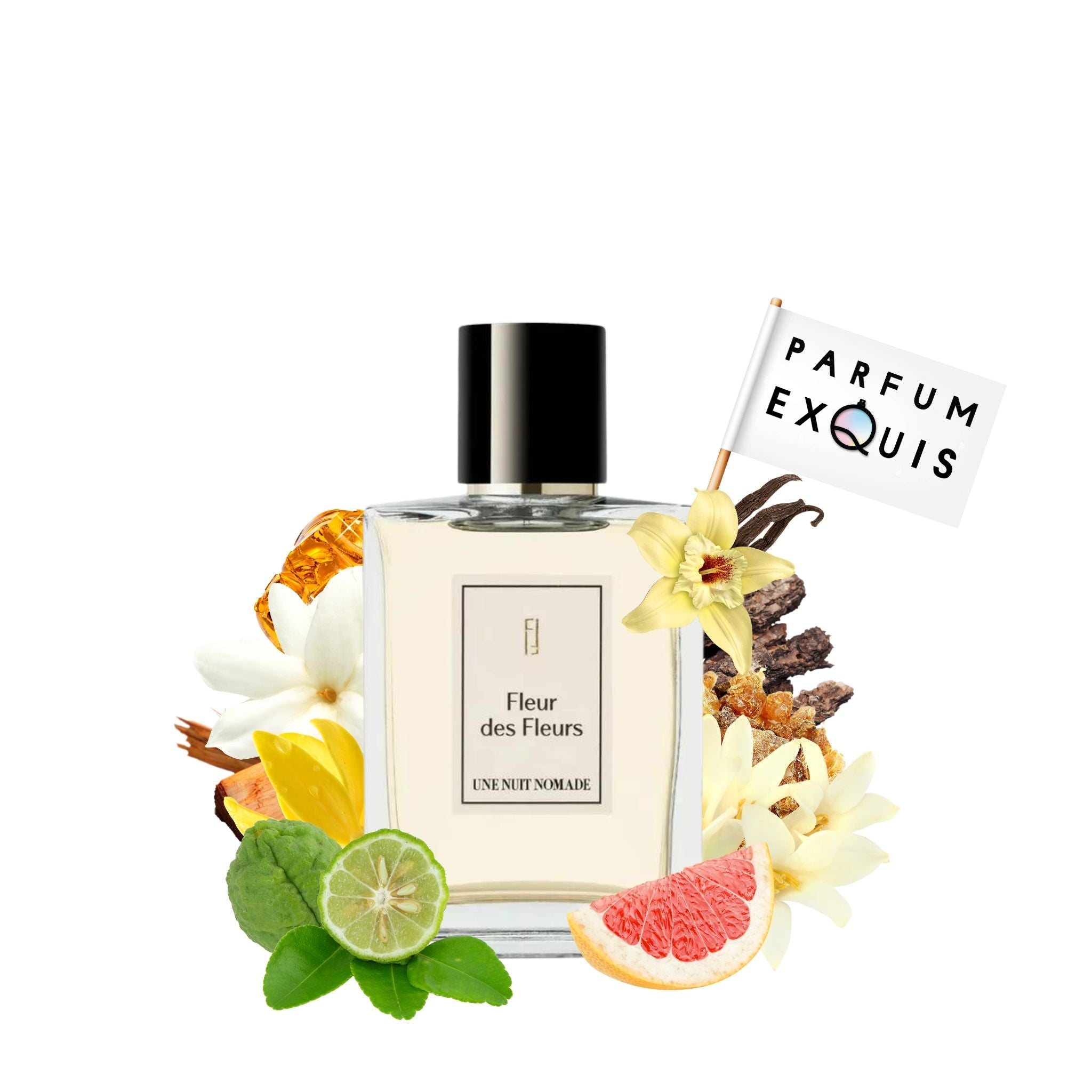 Une nuit Nomade Fleur des Fleurs