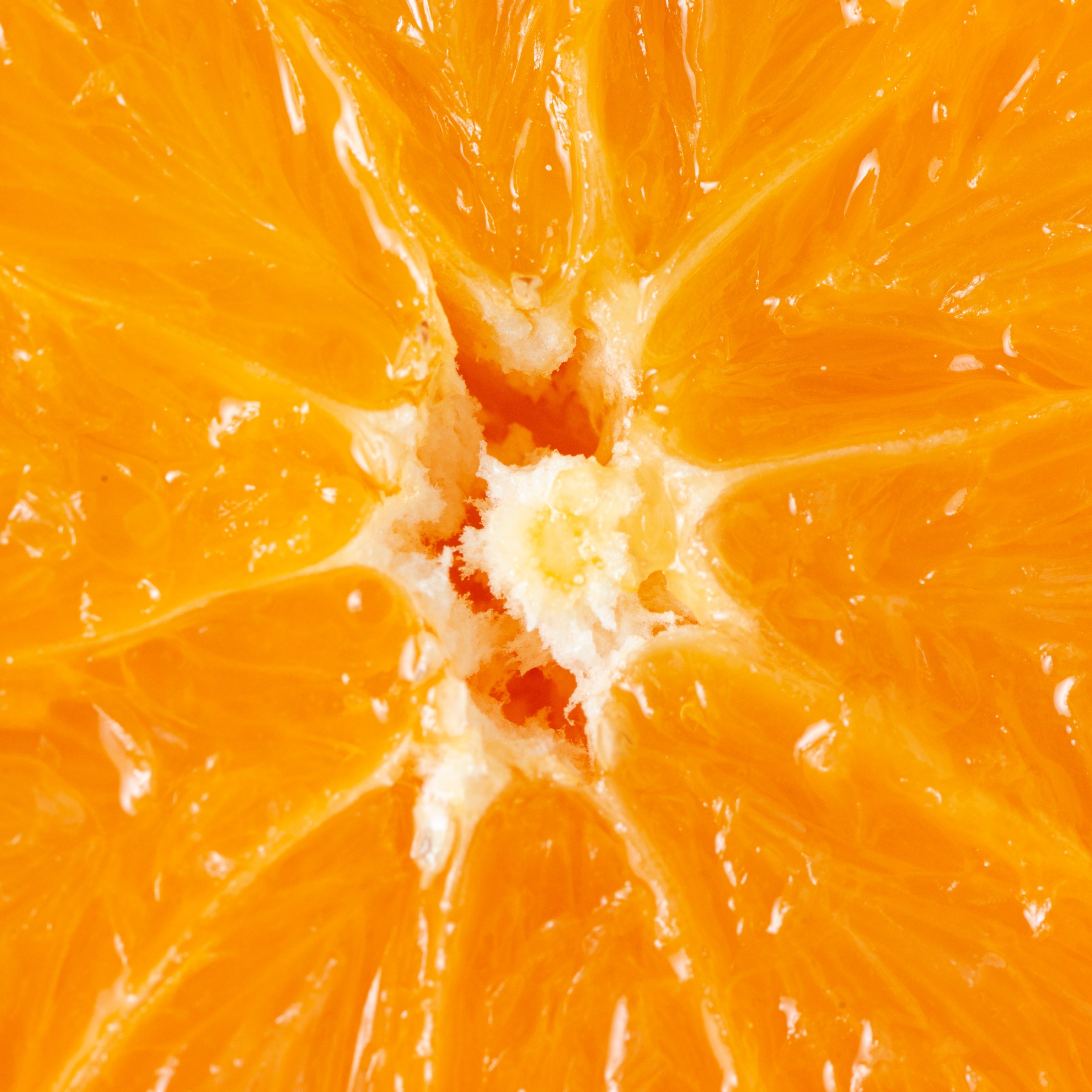 Radiant Orange Perfumes: Energizer and Aria di Taormina