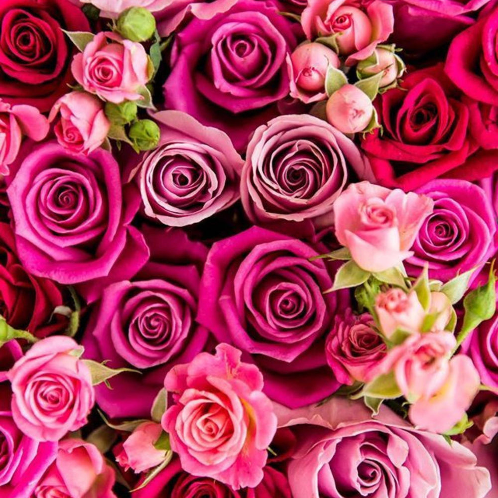 Experience Rose Magnetic Perfumes · Parfum Exquis US