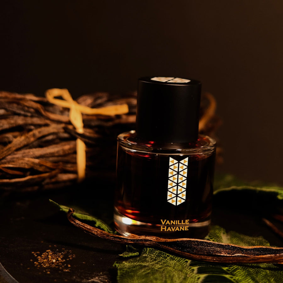 Rediscovering Classic Elegance: The Unforgettable Fragrances of Les Indemodables