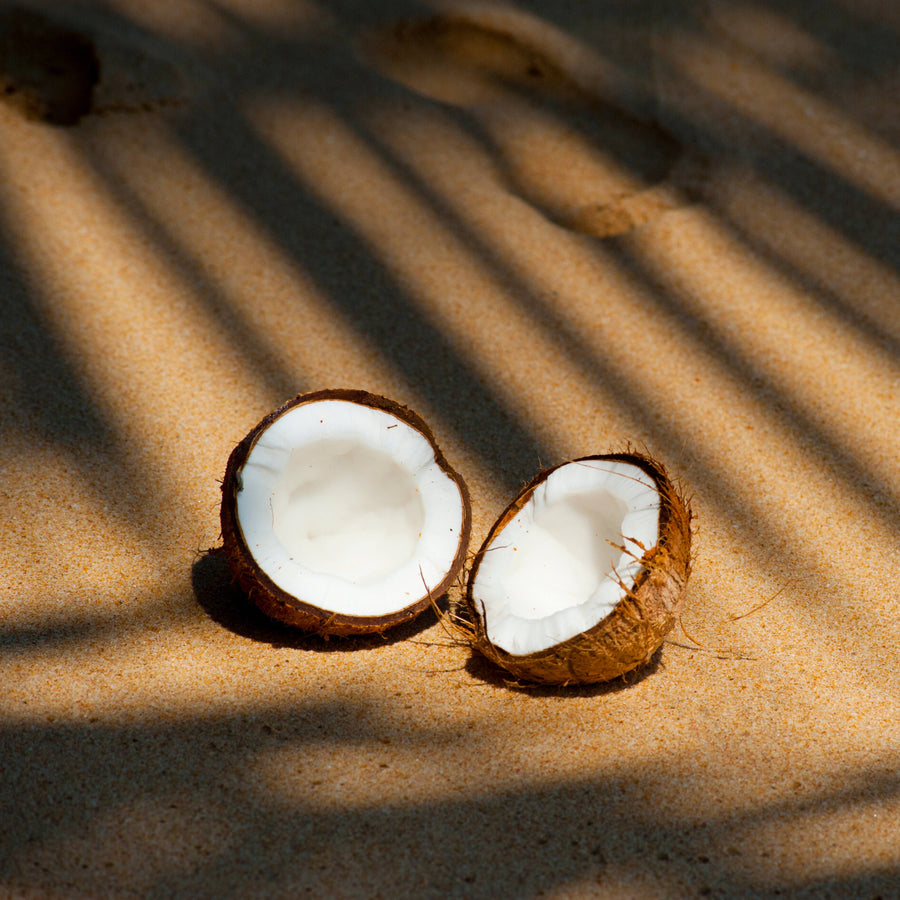 Collection of the best coconut perfumes for summer 2023, including Sunplosion by Simone Andreoli, Philosykos Eau de Parfum by Diptyque, Fan Your Flames by Nishane, and Coco du Yemen Les Fleurs du Golfe, set against a backdrop of a sunny beach scene.