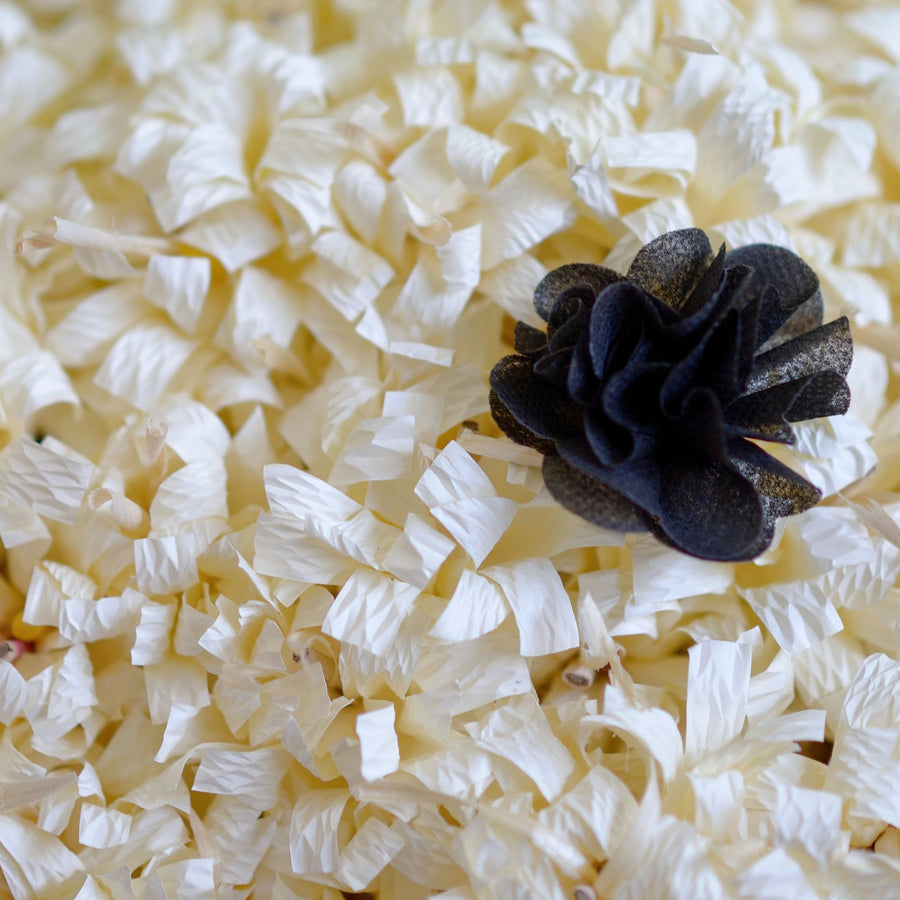 Best Sandalwood Fragrances: A Journey Through Time & Elegance