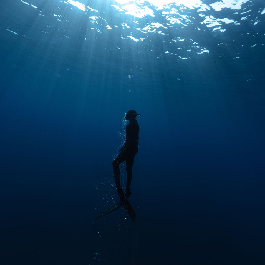 megamare orto parisi