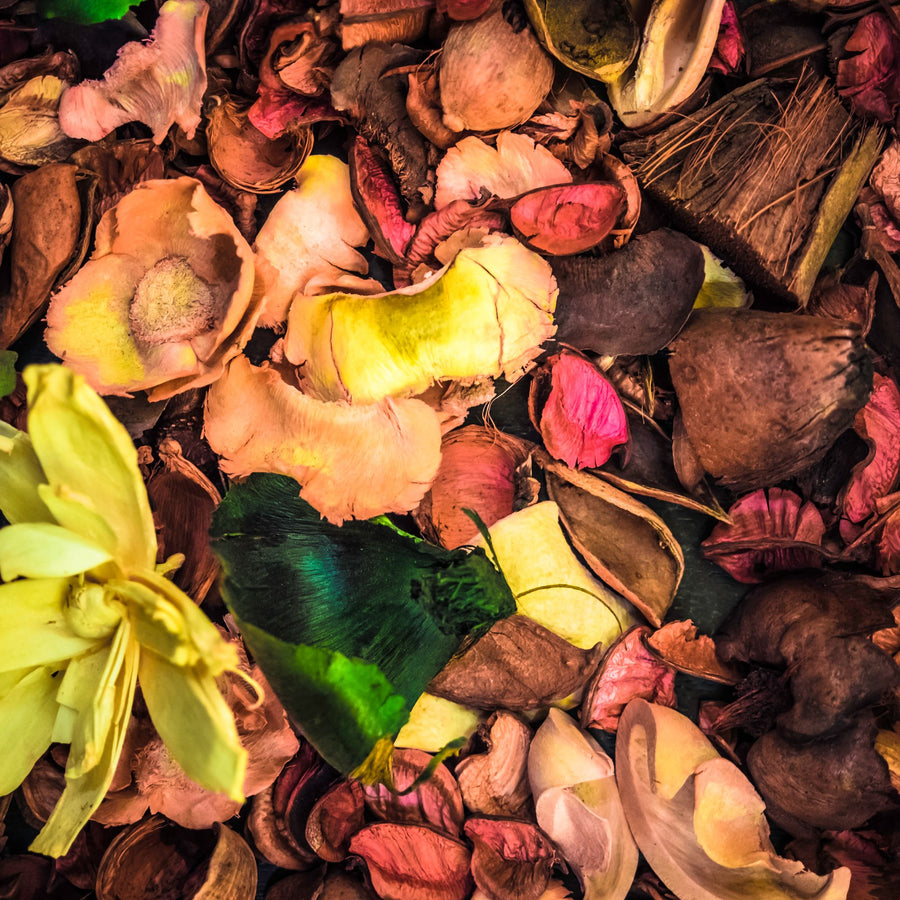 Why I'm Loving These 5 Simone Andreoli Scents (And You Should Too!)