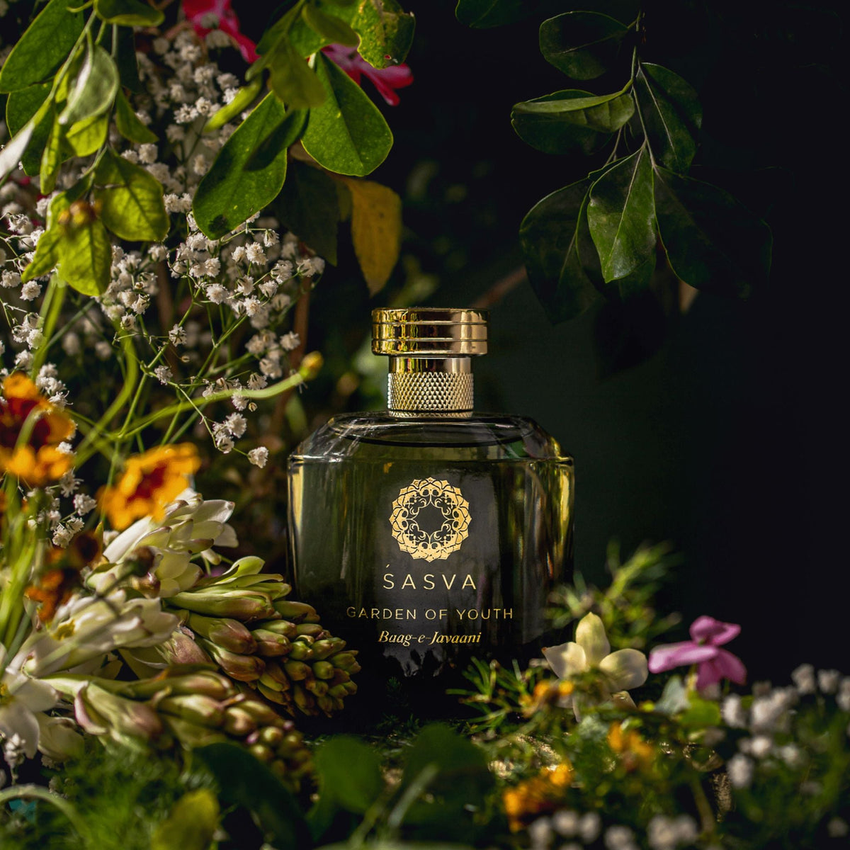 Baag-e-Javaani Sasva Perfume