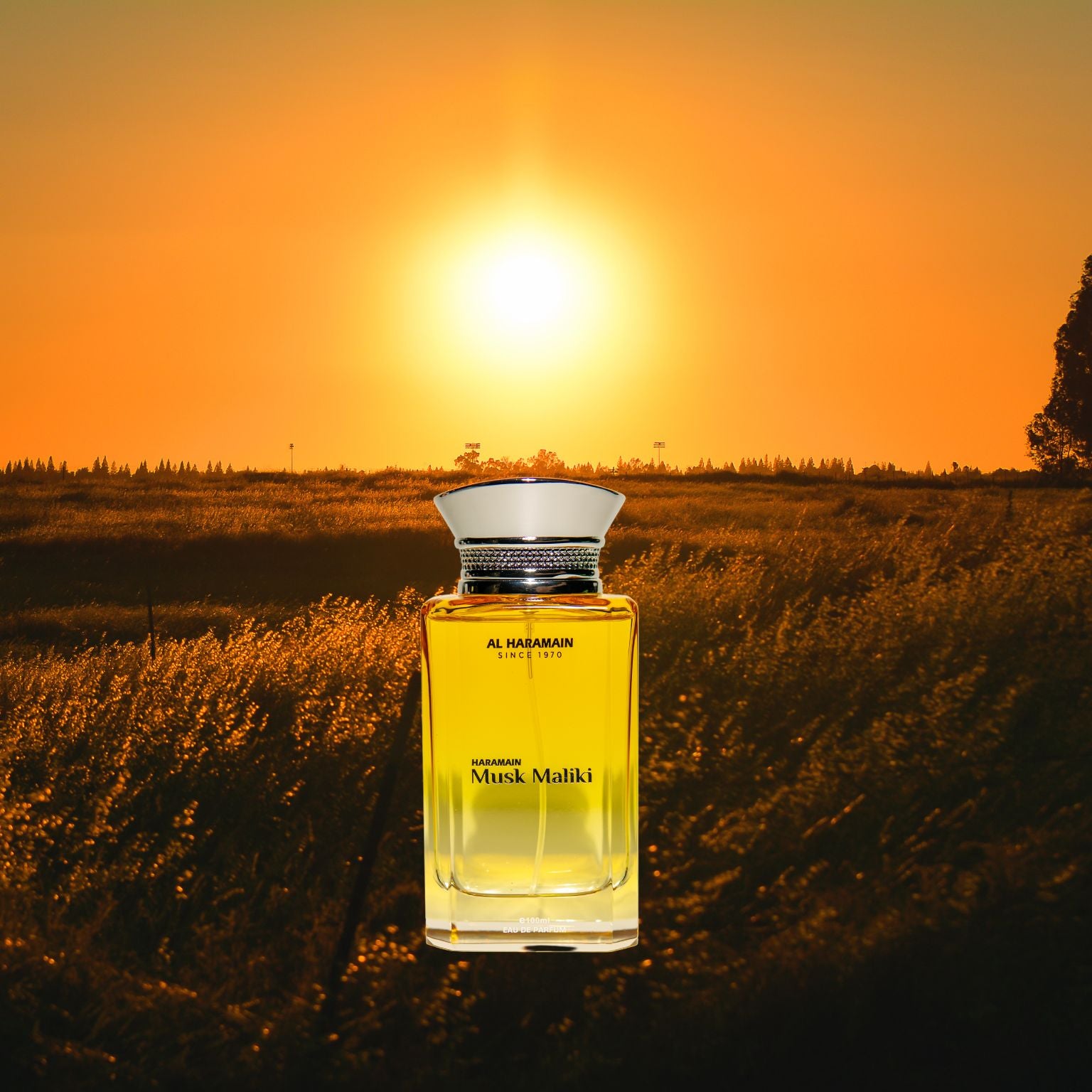 Haramain Musk Maliki – Elegant Floral & Musk Fragrance · Parfum
