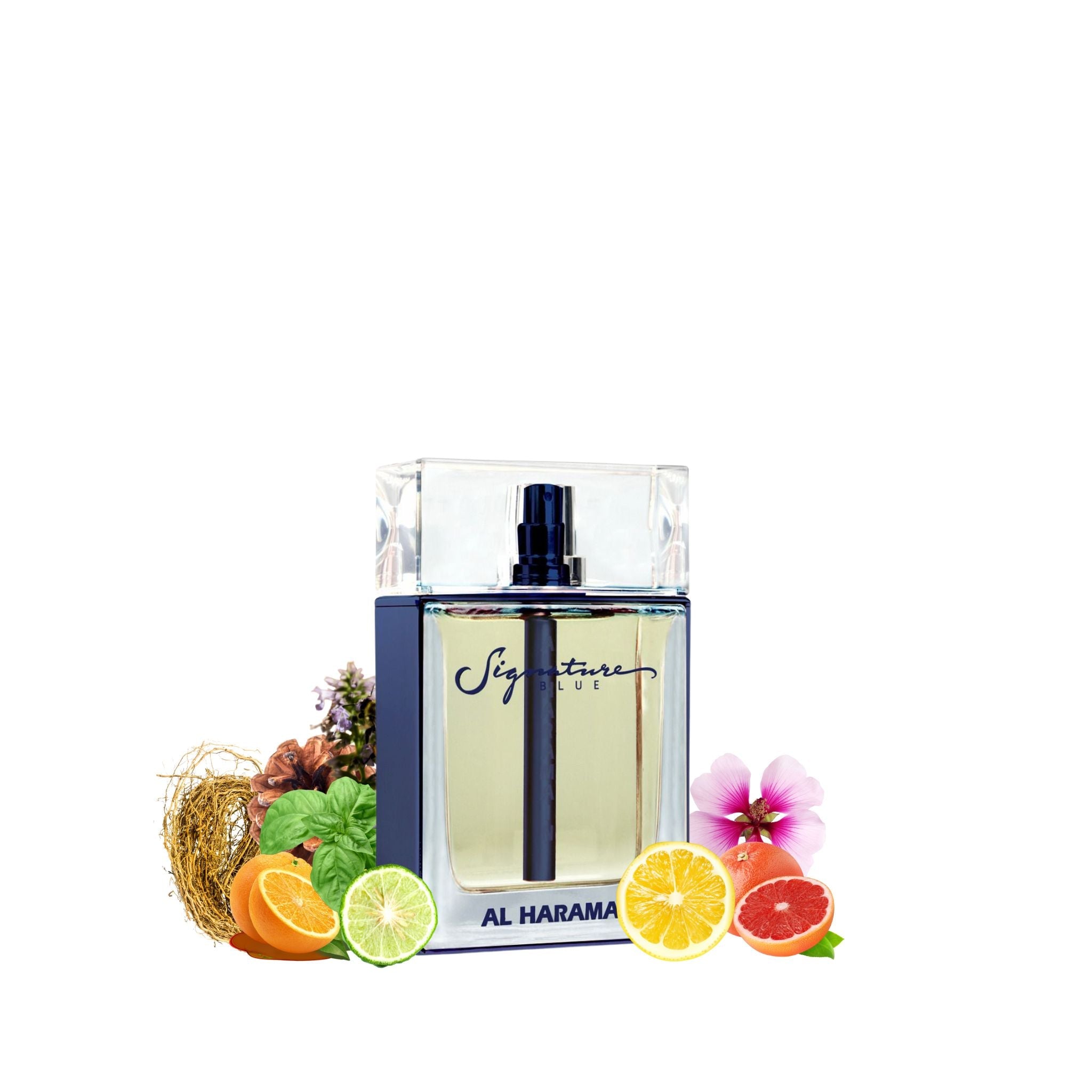 Al Haramain Signature Blue: Sophisticated Elegance · Parfum Exquis US