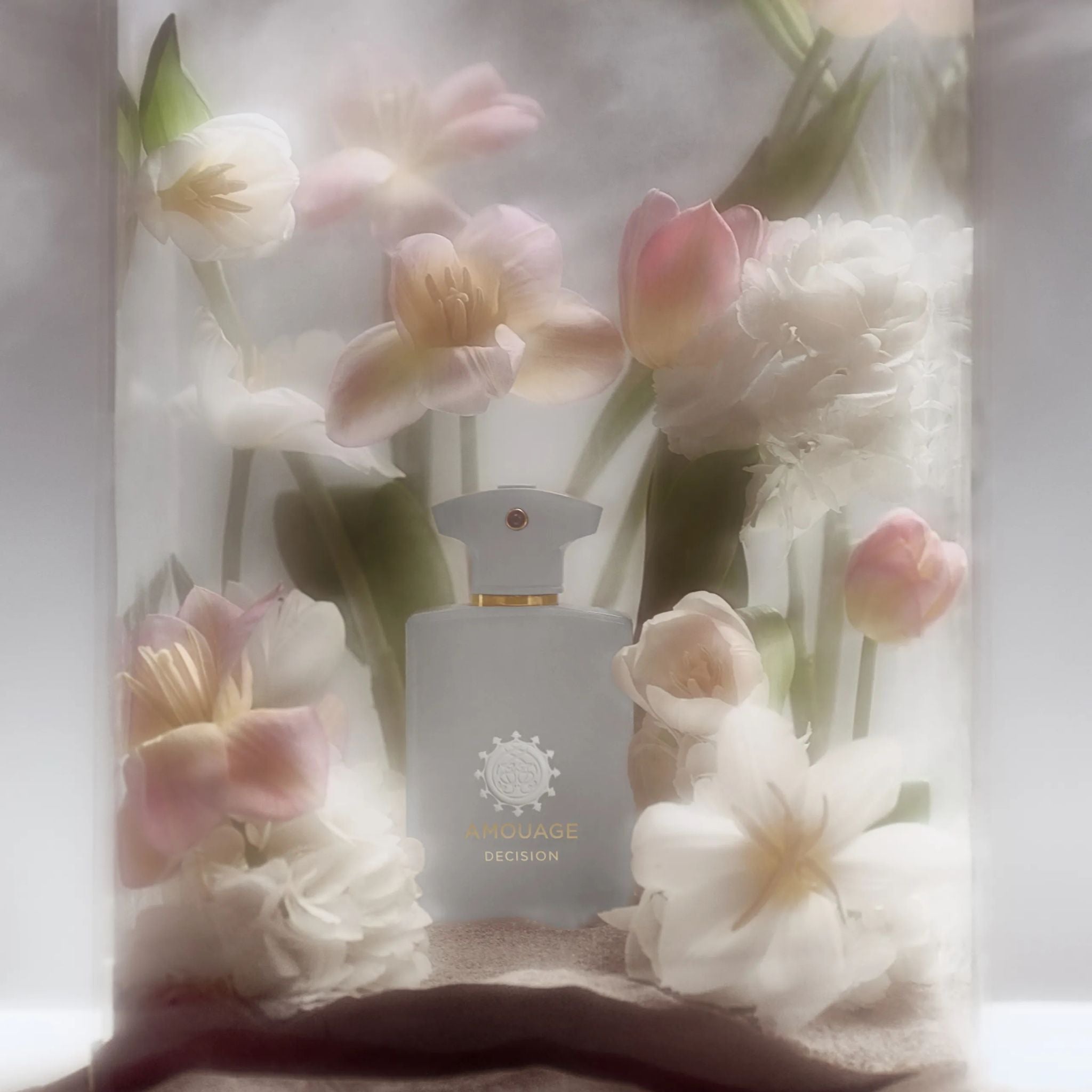 Decision · Parfum Exquis US