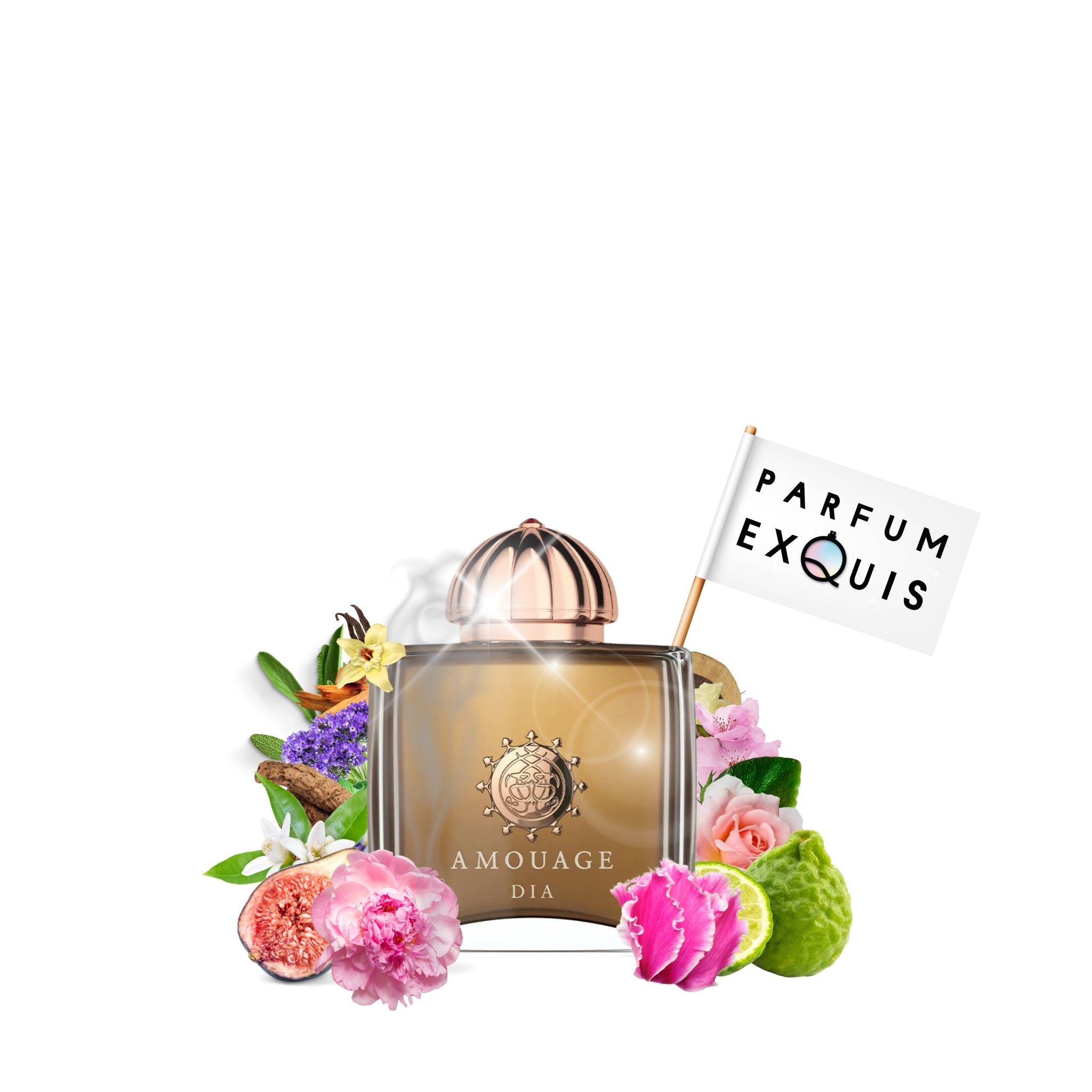 Dia Woman Amouage: Parisian Elegance in a Bottle · Parfum Exquis US
