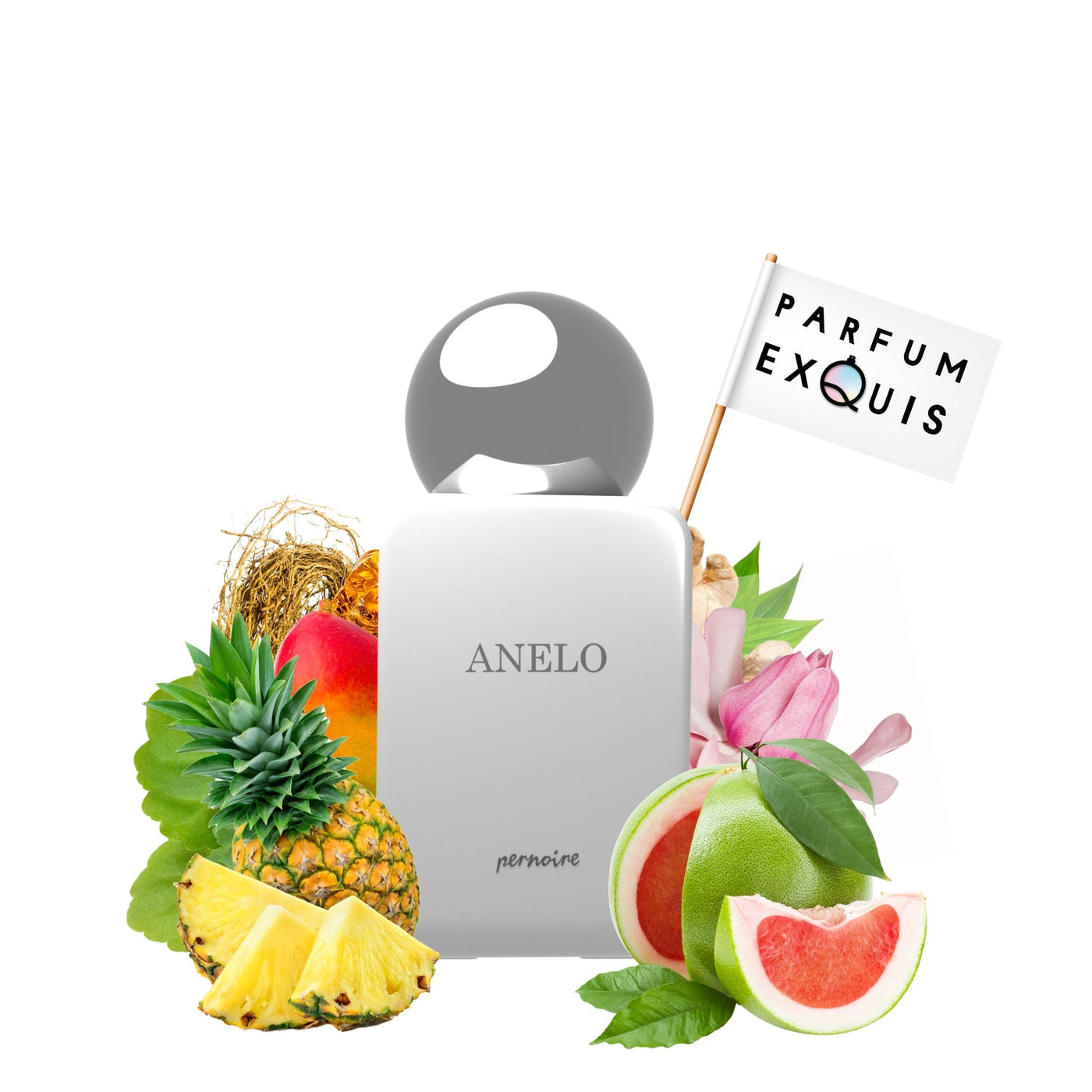 Anelo