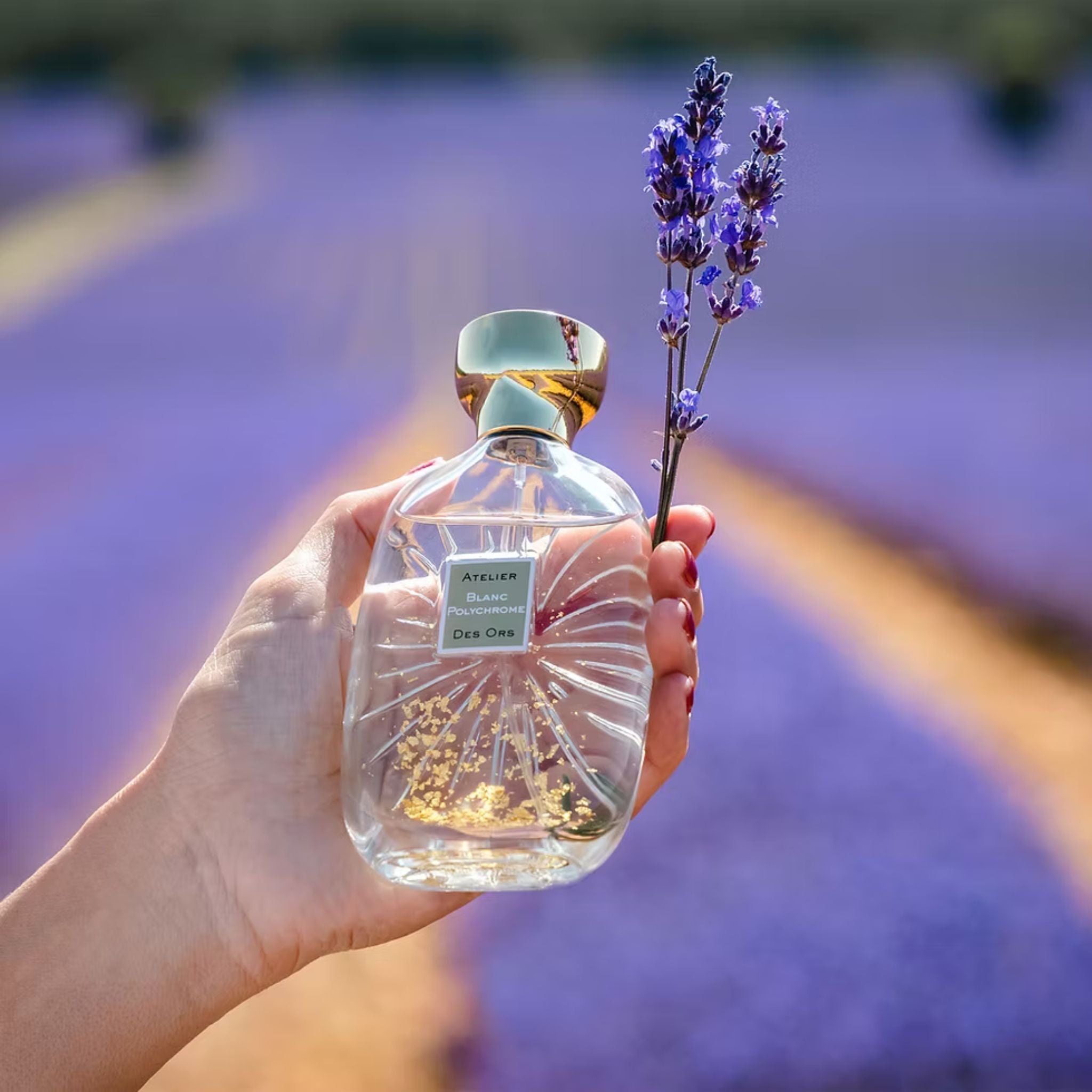 Atelier Des OrsのBlanc Polychrome。 Blanc Polychrome