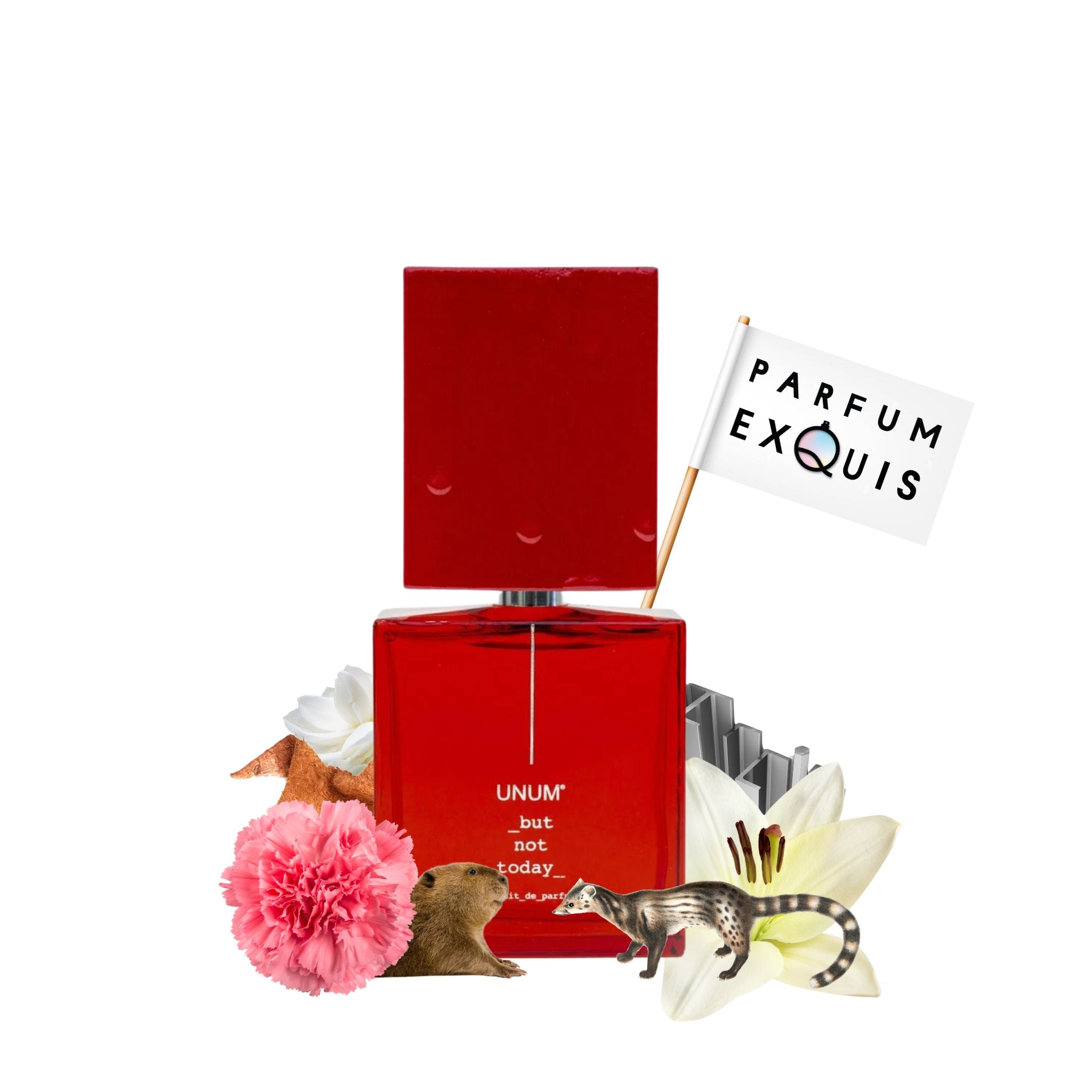 But Not Today · Parfum Exquis US