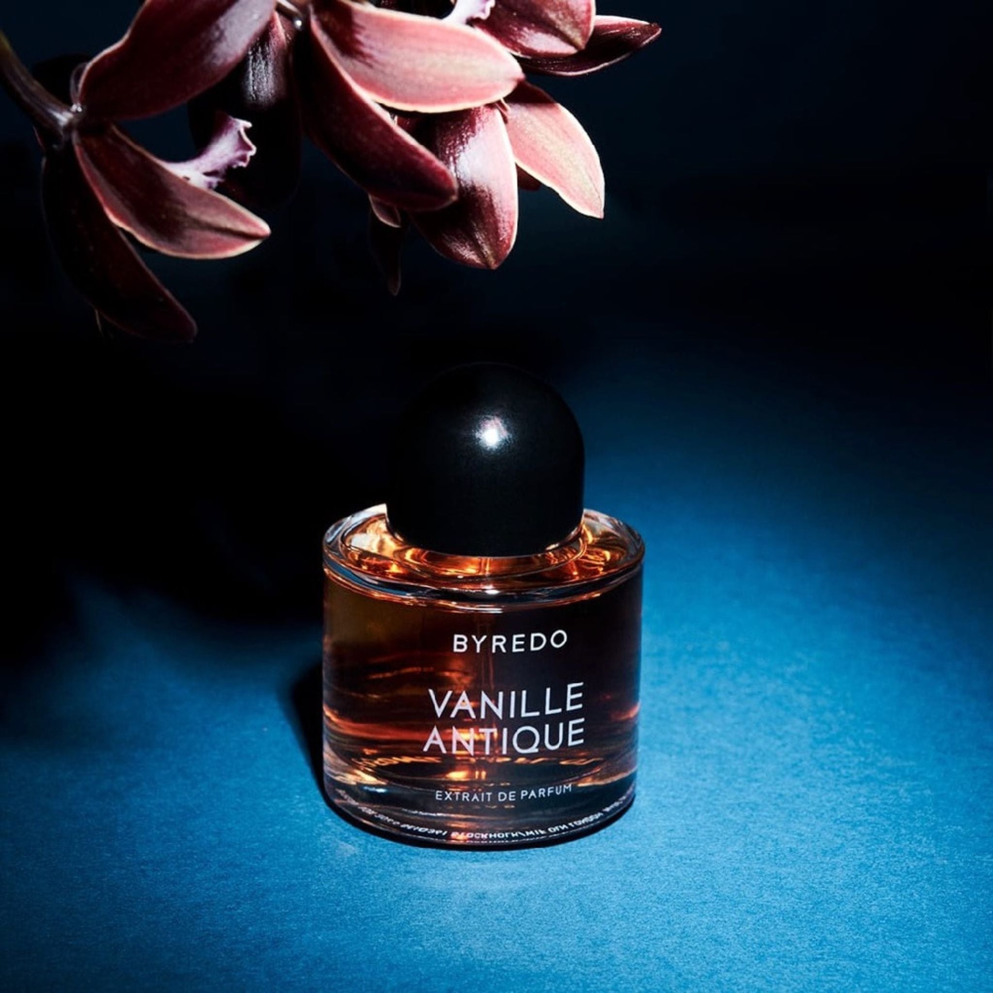 BYREDO VANILLE ANTIQUE エクストレ・ド・パルファム Byredo Vanille Antique Extrait de Parfum | Saks Fifth Avenue