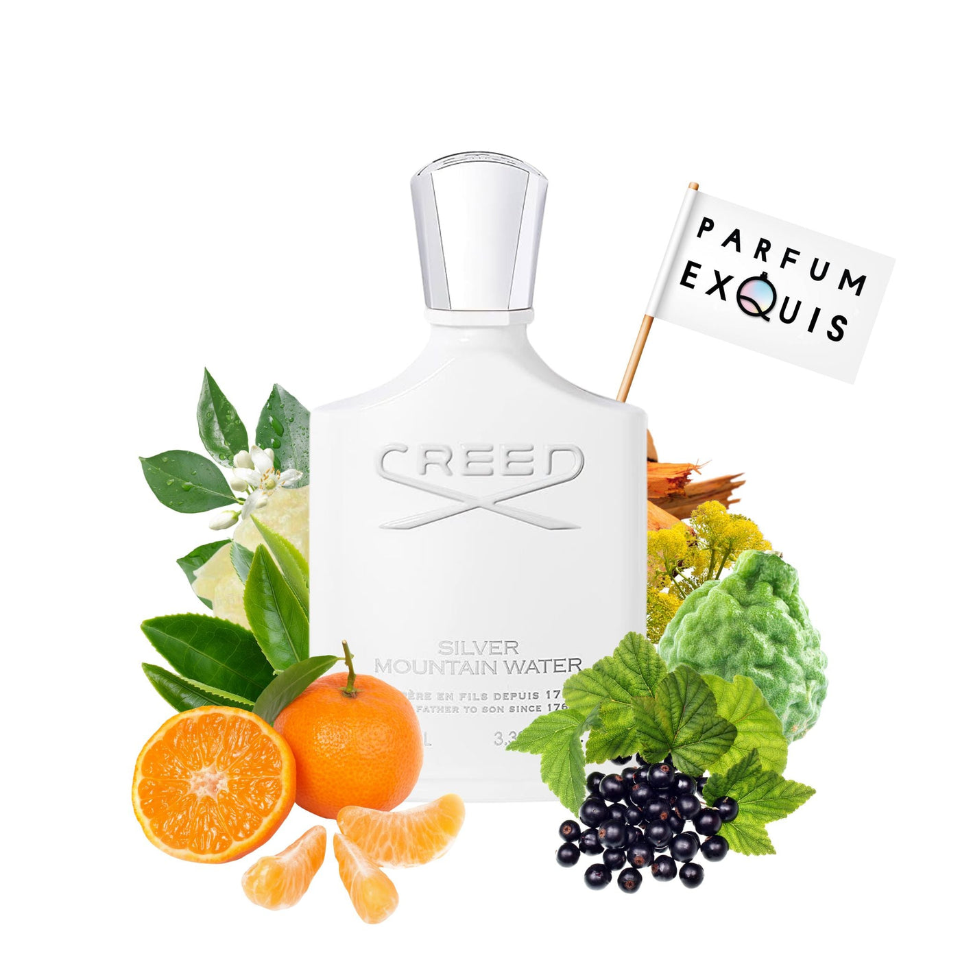 Creed Silver Mountain Water