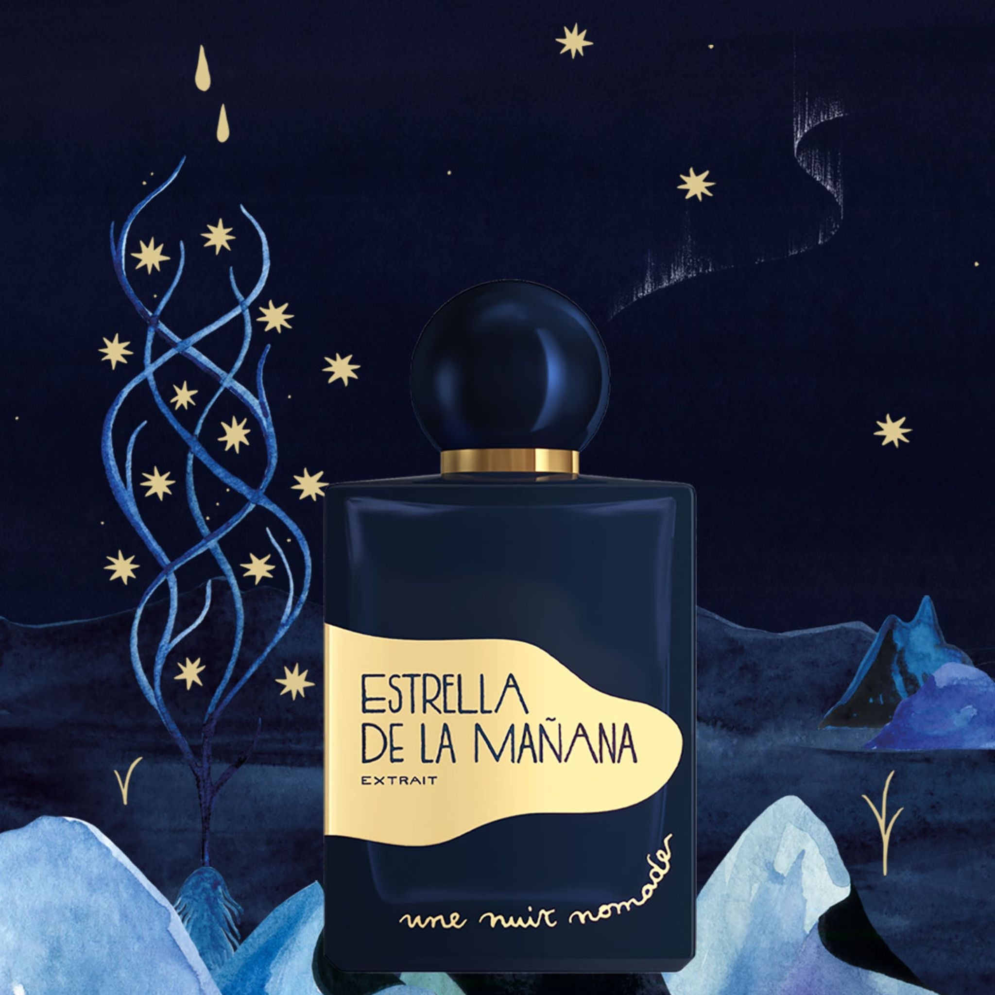 Estrella De La Manana Une Nuit Nomade