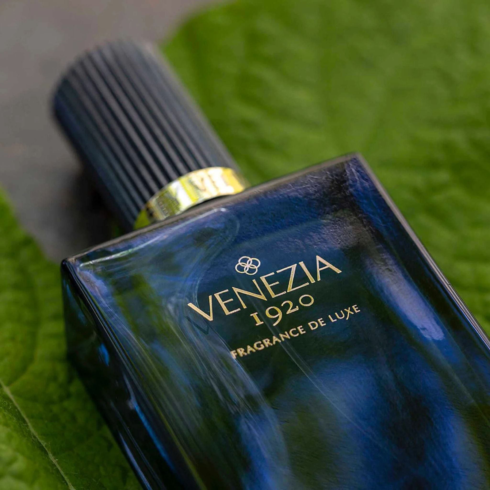 Grey Velvet · Parfum Exquis US