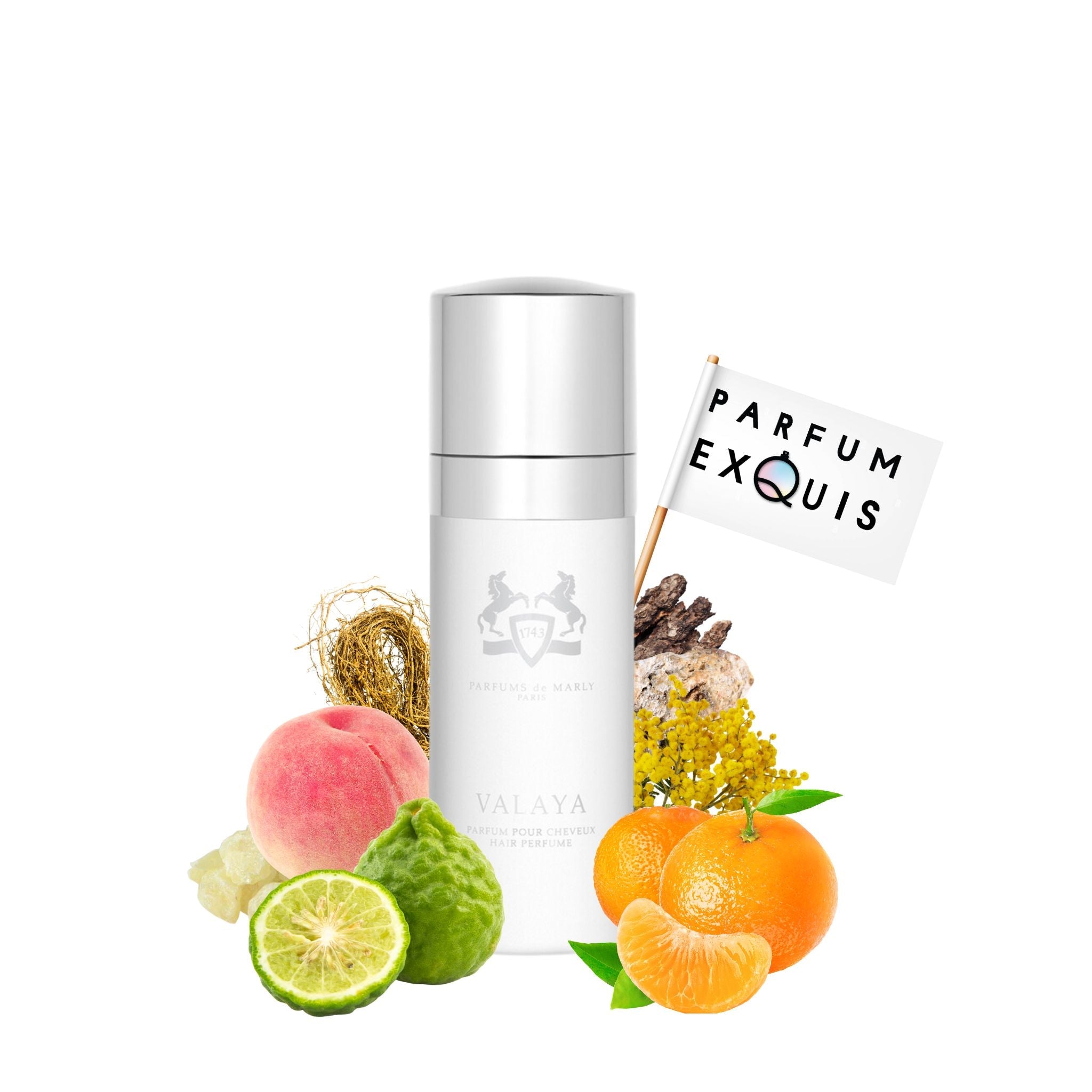 Valaya Hair Mist · Parfum Exquis US