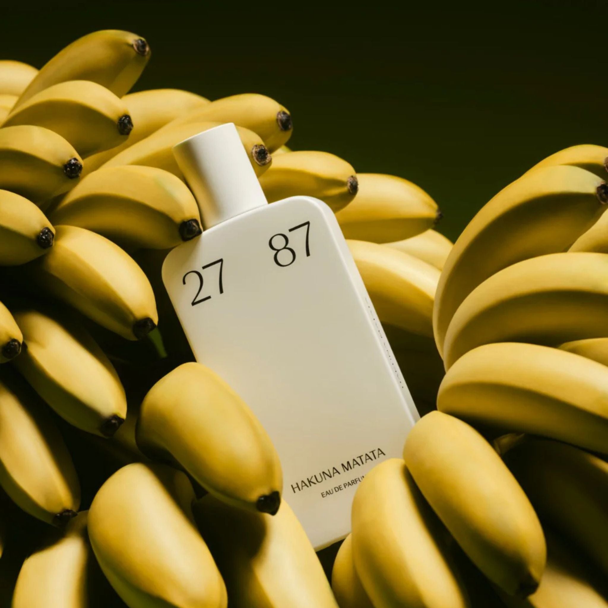 Hakuna Matata · Parfum Exquis US