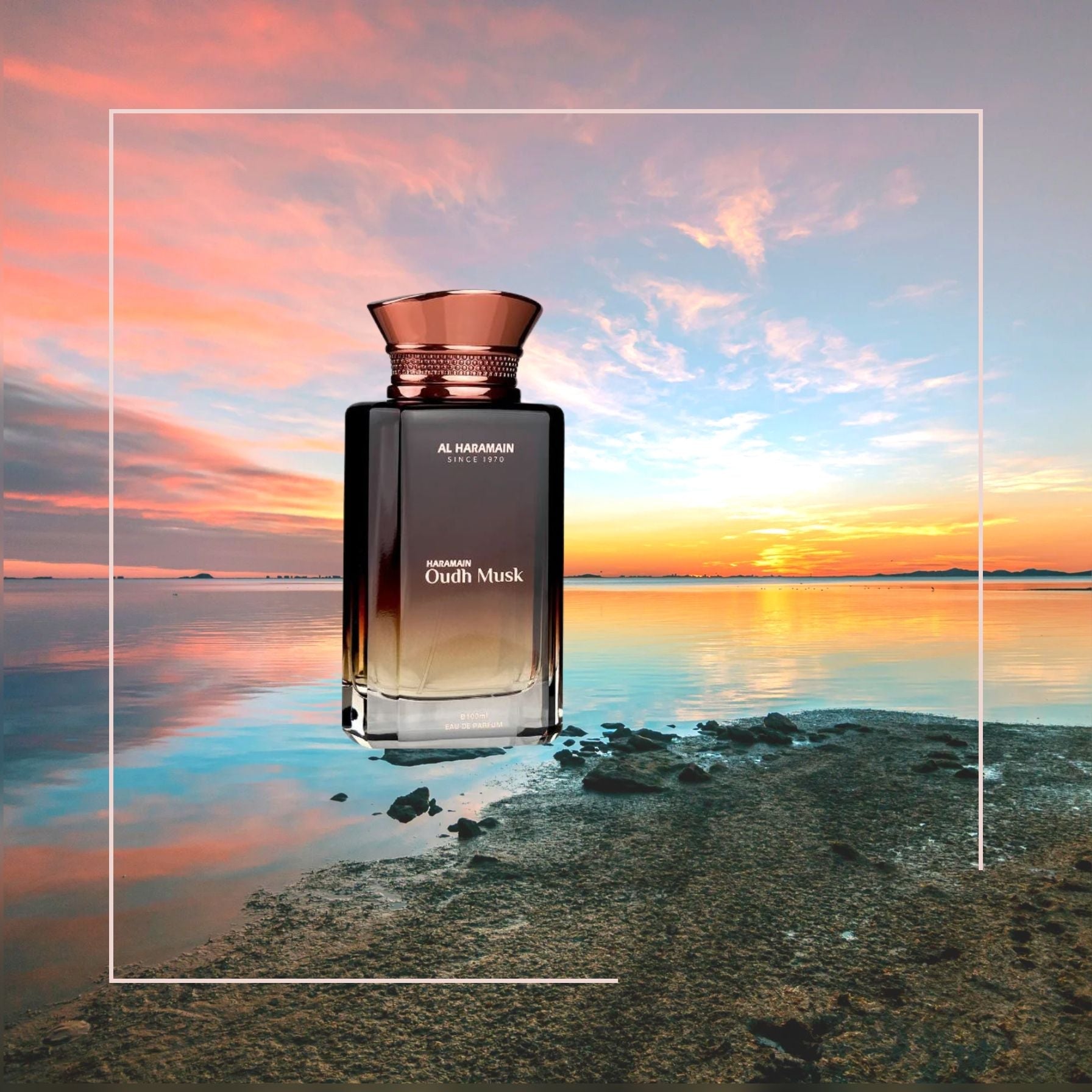 Haramain Oudh Musk – Elegant Cardamom, Amber & Musk · Parfum Exquis US