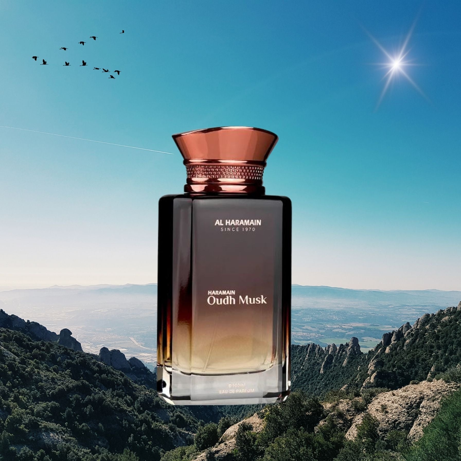 Al Haramain DUHA オードパルファム 100ml Haramain Oudh Musk – Elegant Cardamom, Amber & Musk · Parfum Exquis US