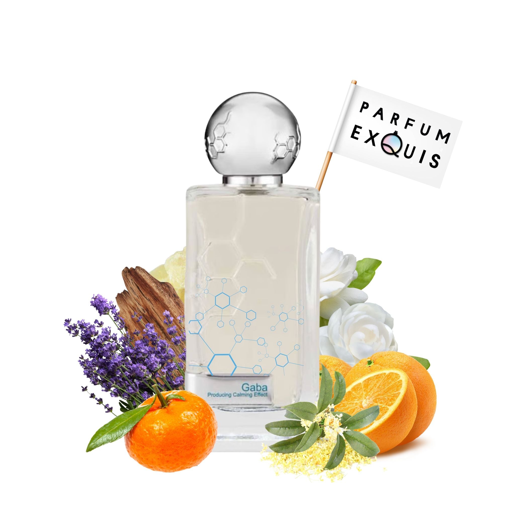 Perfume Hormone Paris Gaba