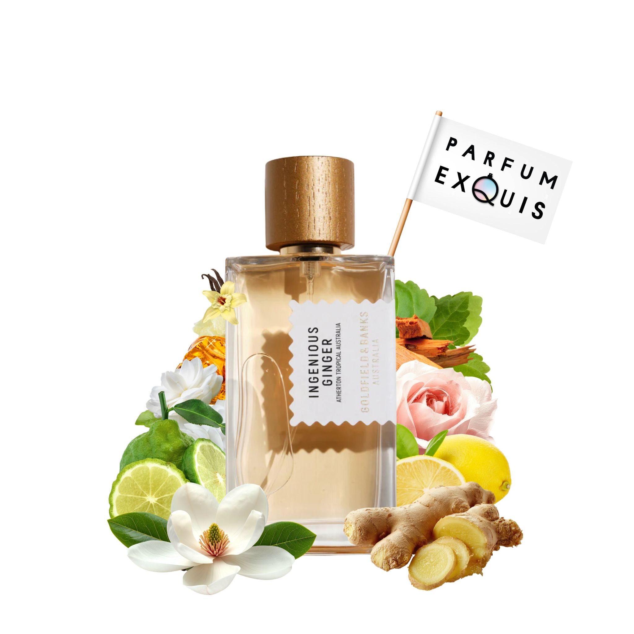 Ingenious Ginger · Parfum Exquis US