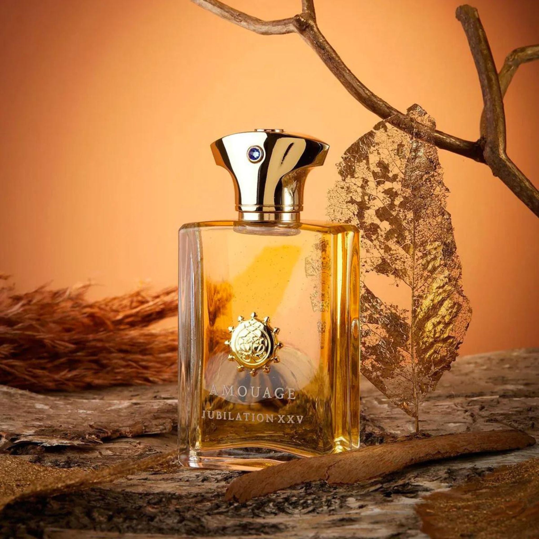 Jubilation fashion XXV Man Amouage 3.4 EDP