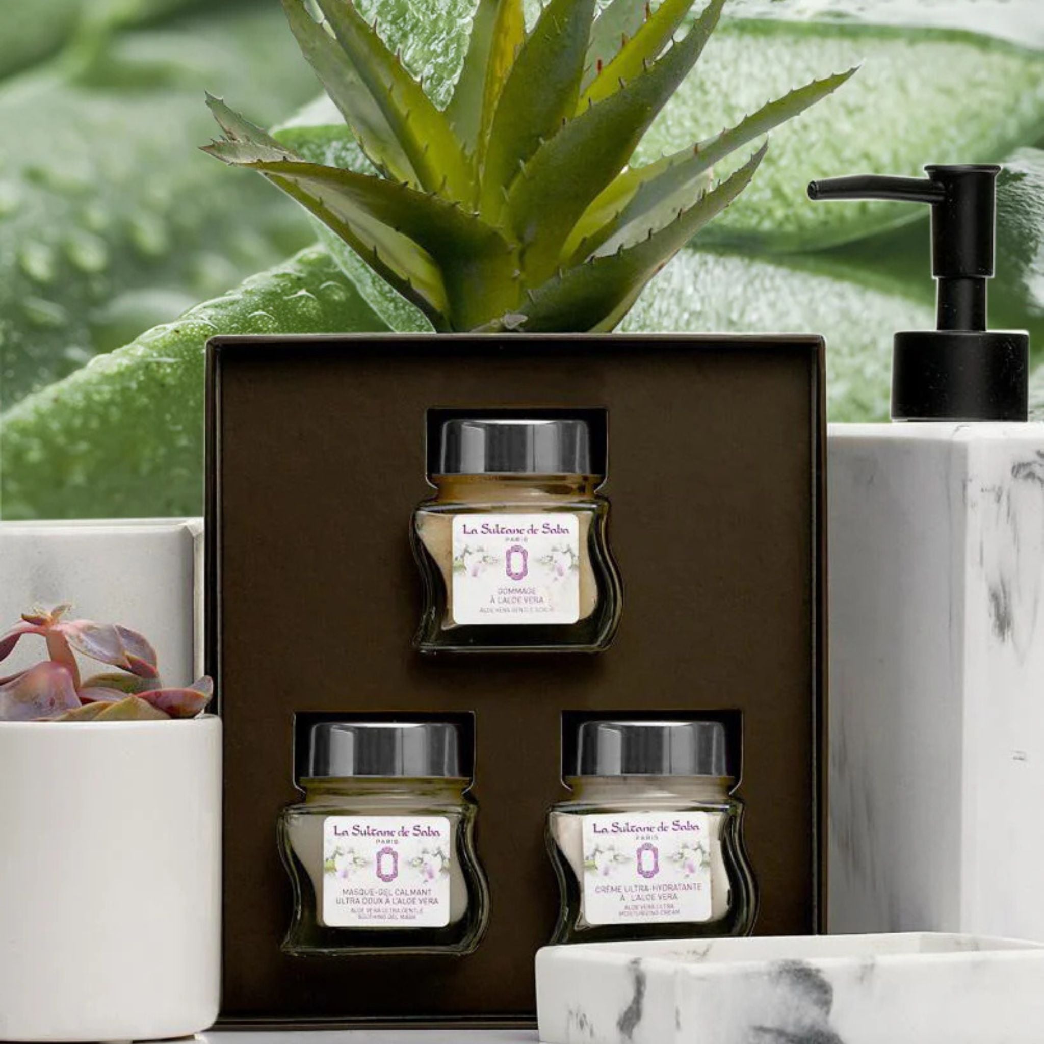 Face Gift Set Aloe Vera Fig and Orchid