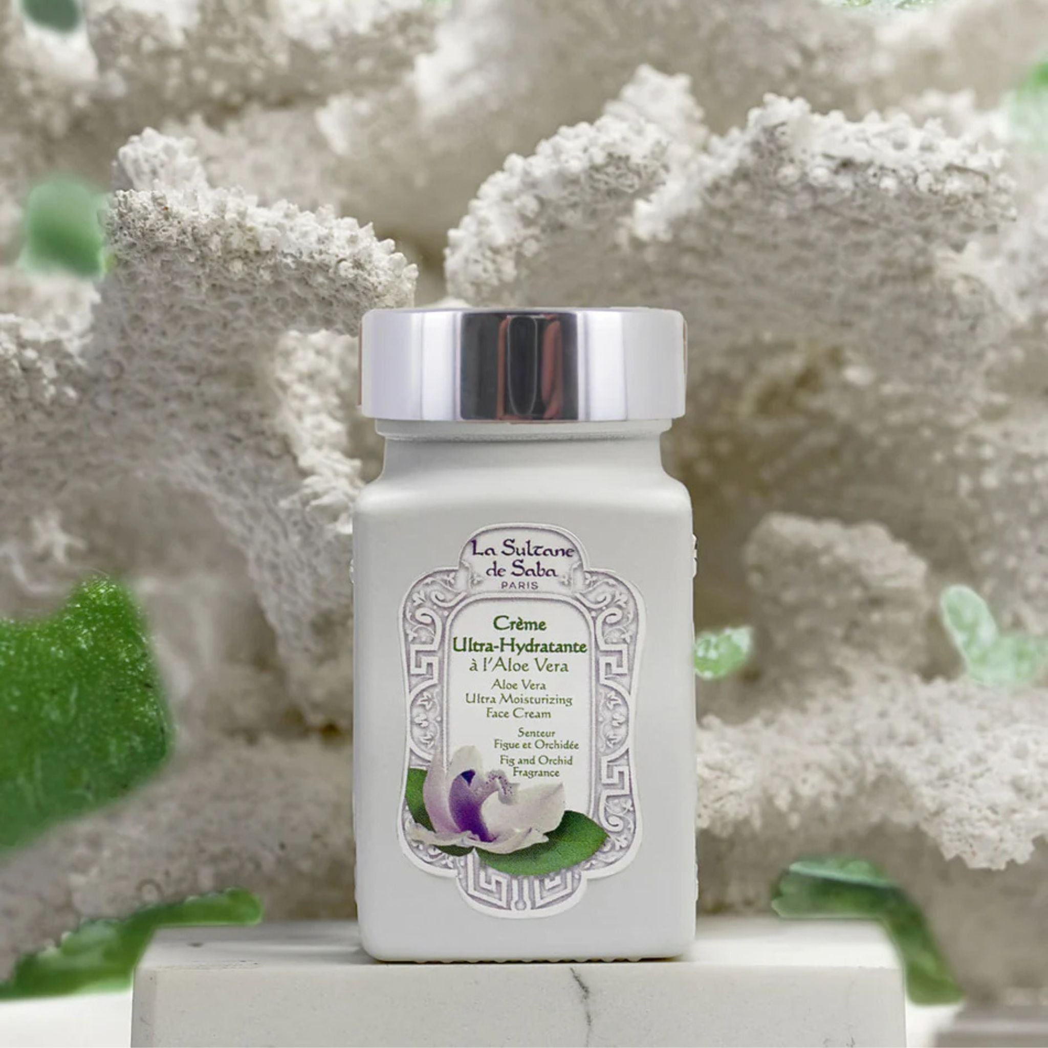 Ultra Moisturizing Face Cream Aloe Vera