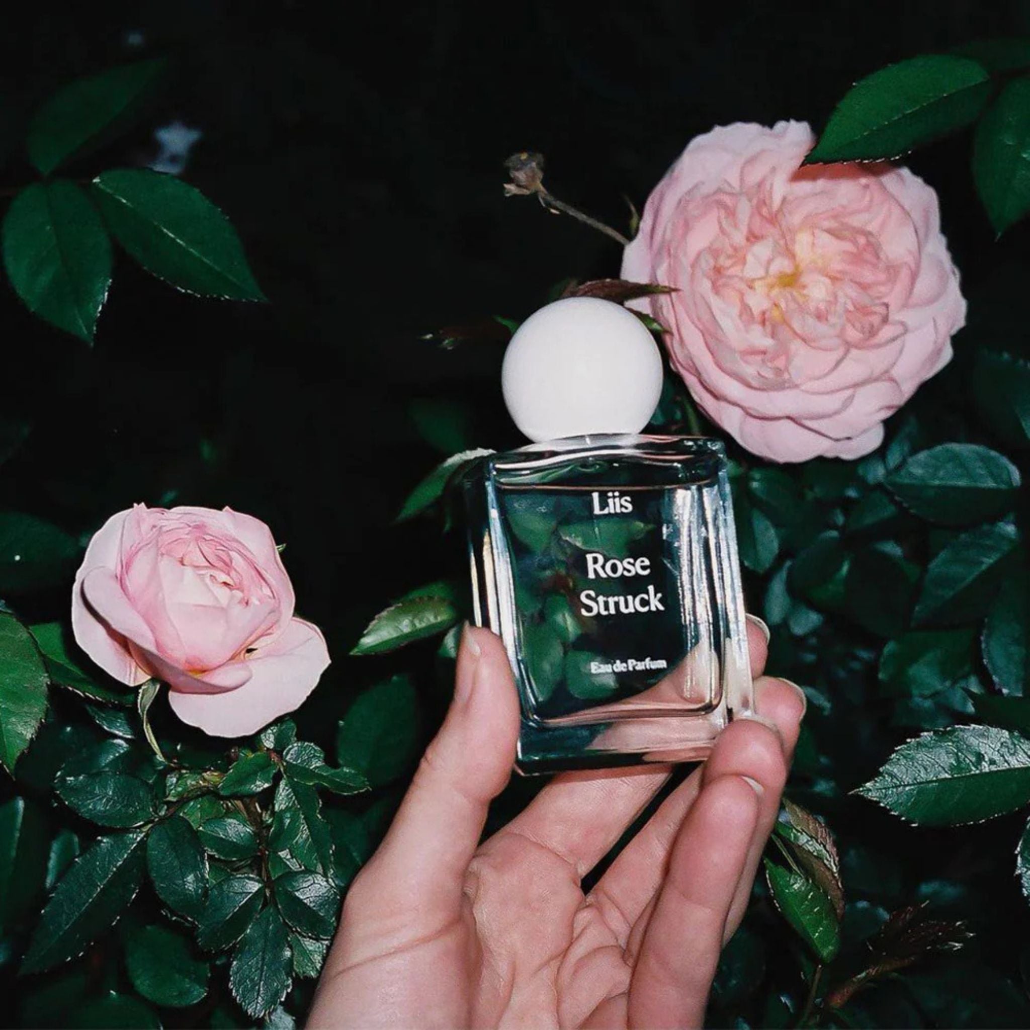 Rose Struck · Parfum Exquis US
