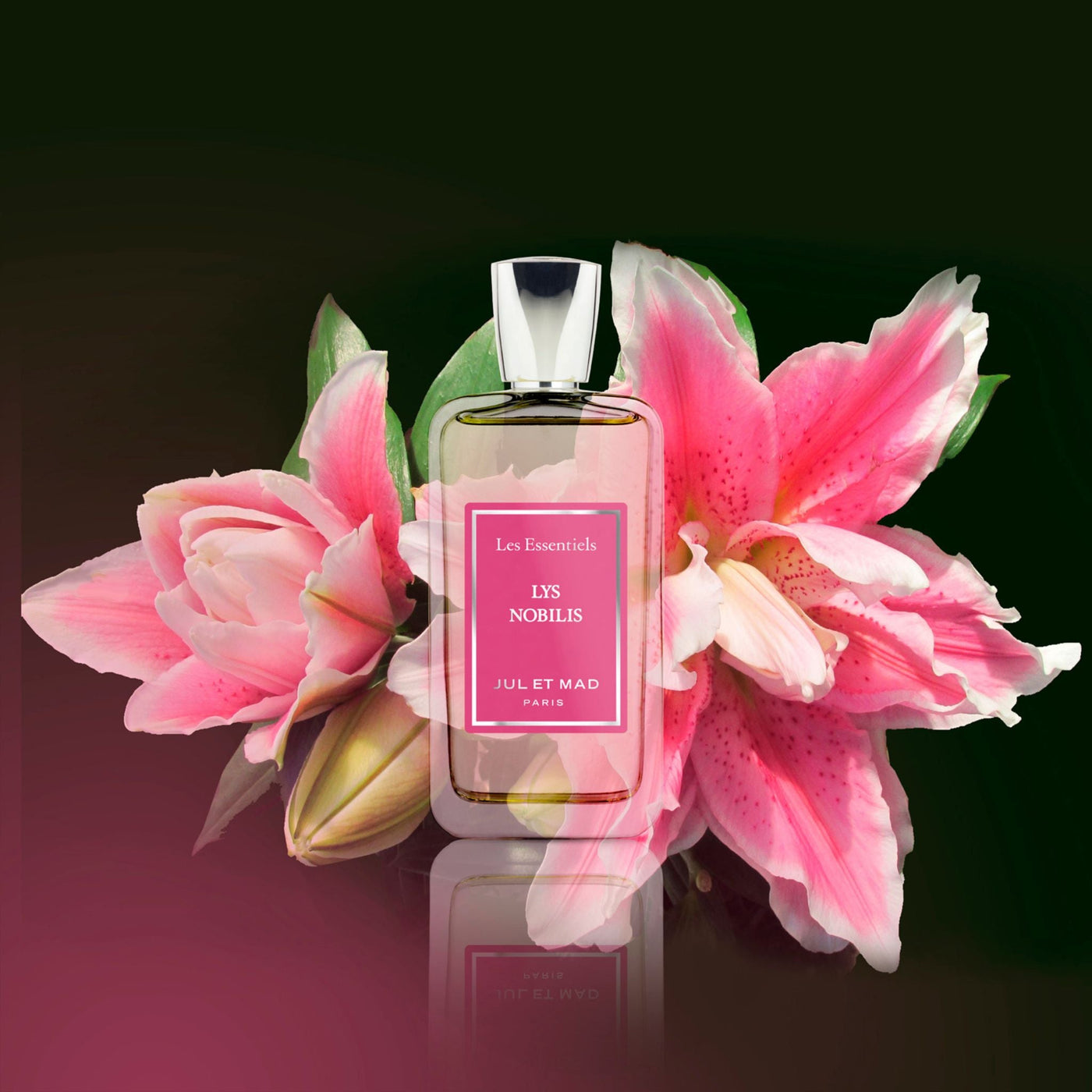 Lys Nobilis Jul Et Mad