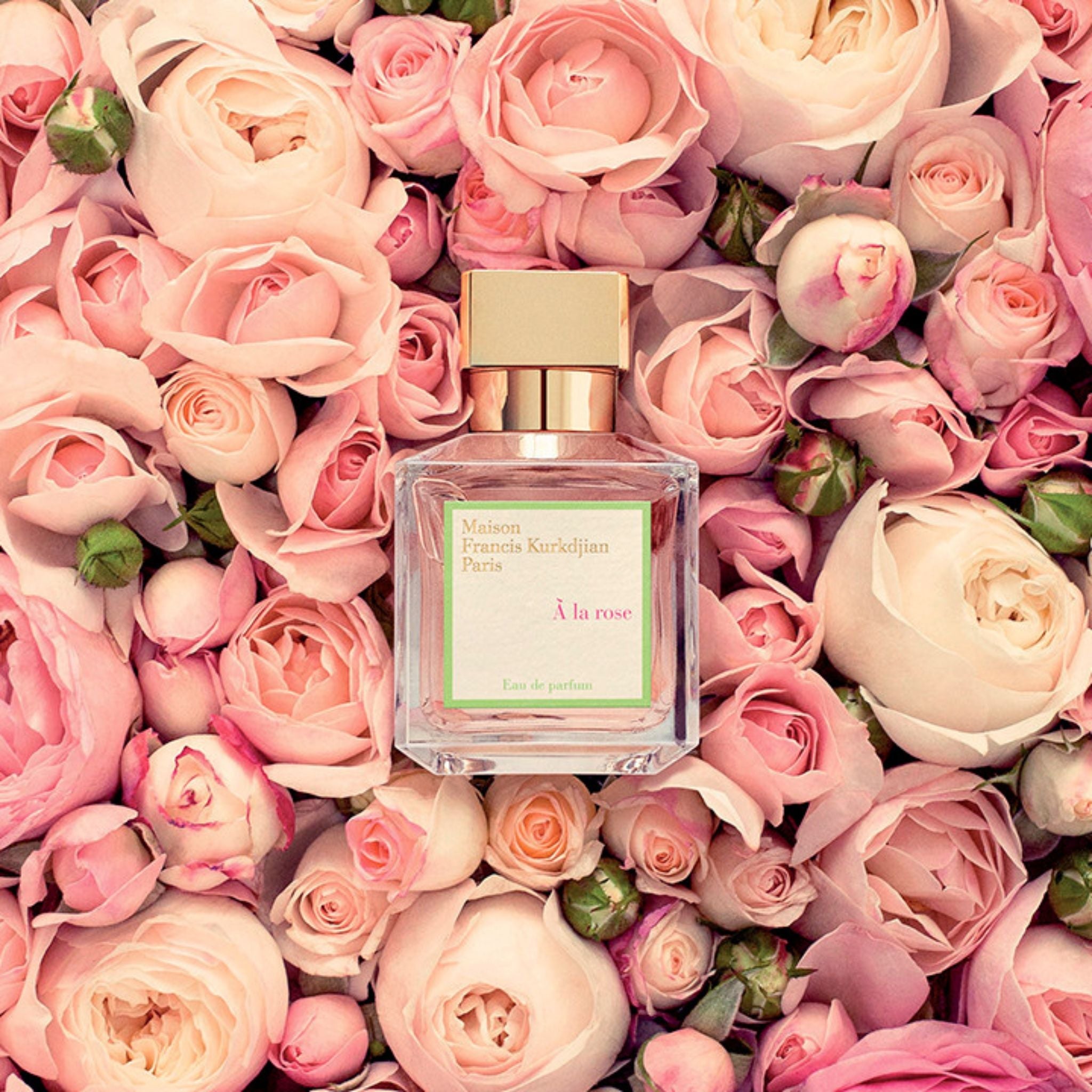 À La Rose Fragrance Maison Francis Kurkdjian 