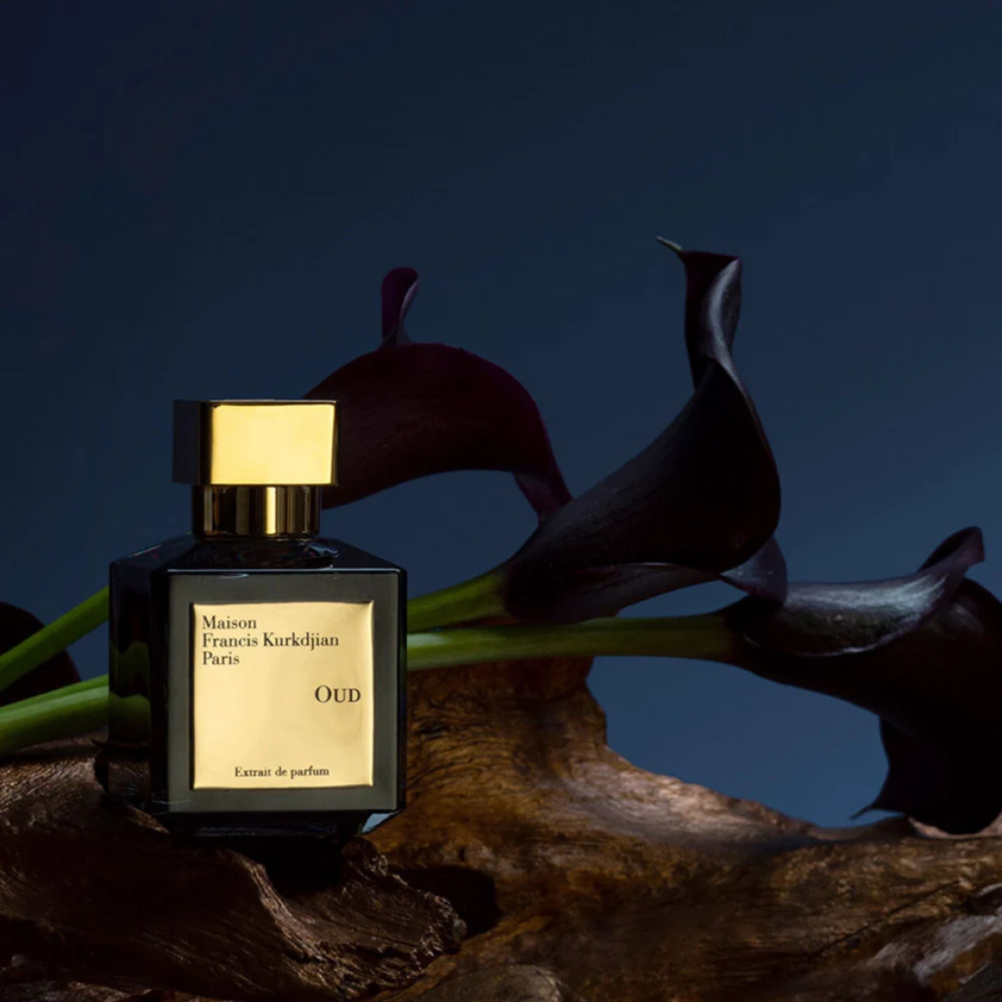 Oud Extrait De Parfum Maison Francis Kurkdjian 
