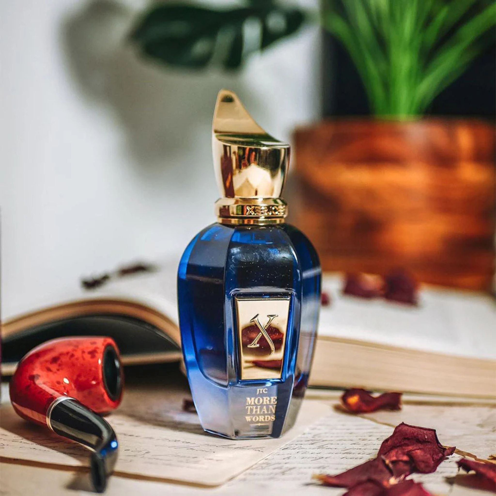 JTC More Than Words · Parfum Exquis US