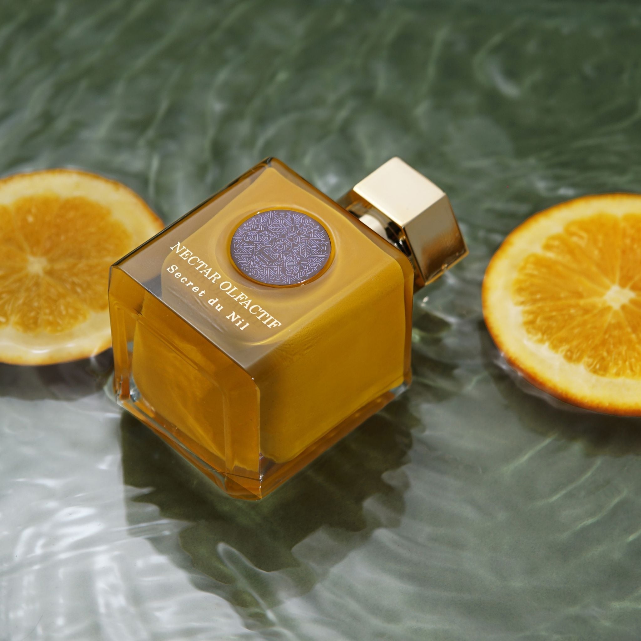Secret du Nil: Seductive Ancient Egyptian Allure · Parfum Exquis US