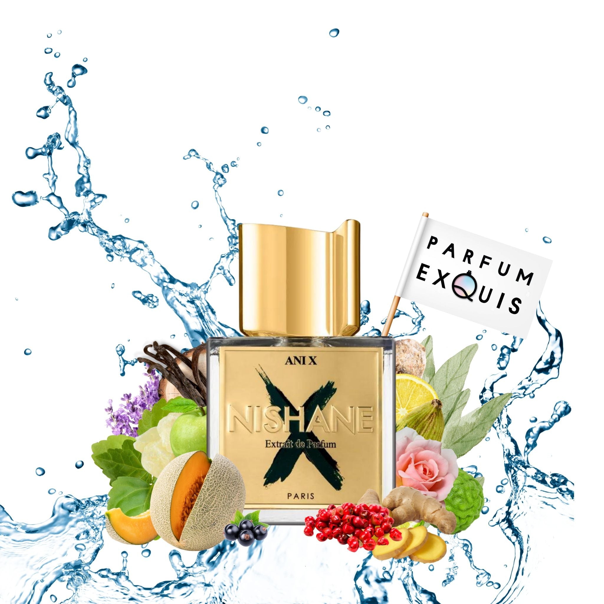 ANI X NISHANE - A Timeless Journey in Fragrance · Parfum Exquis US