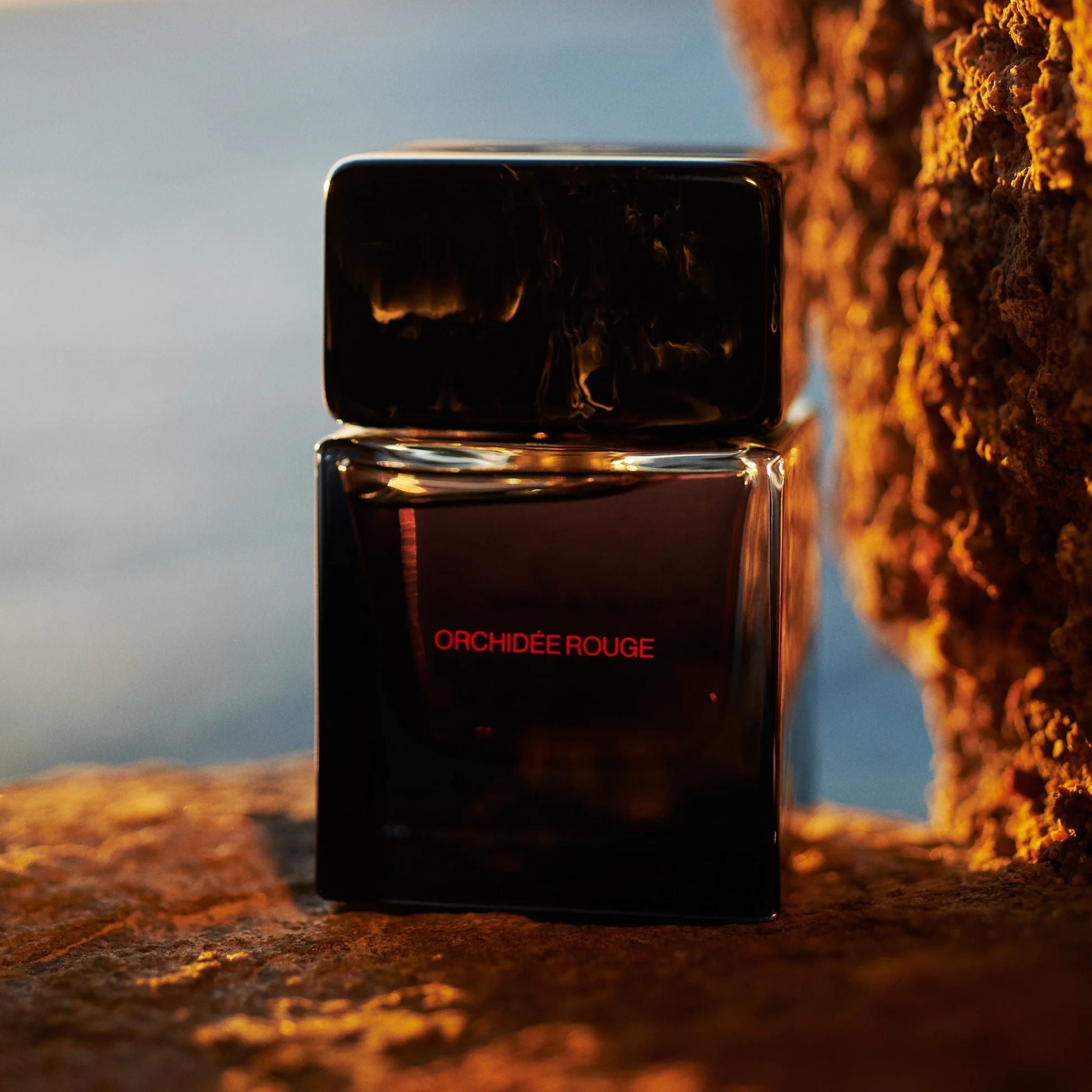 Orchidee Rouge · Parfum Exquis US