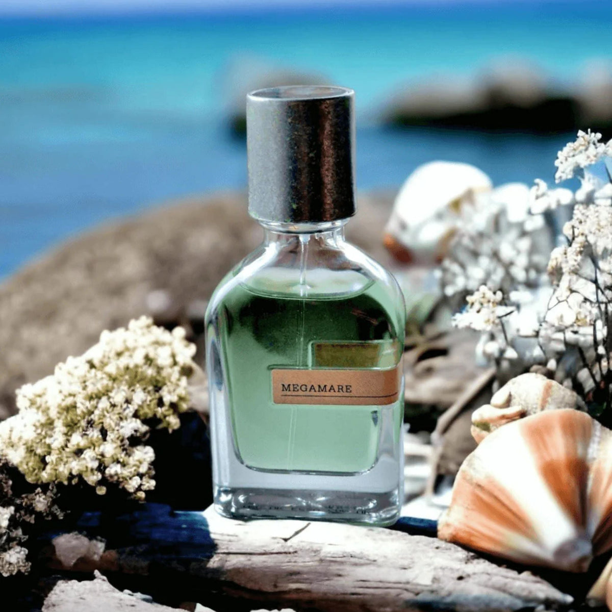 Best Price Megamare Fragrance in Canada Best Price Megamare Fragrance in Canada