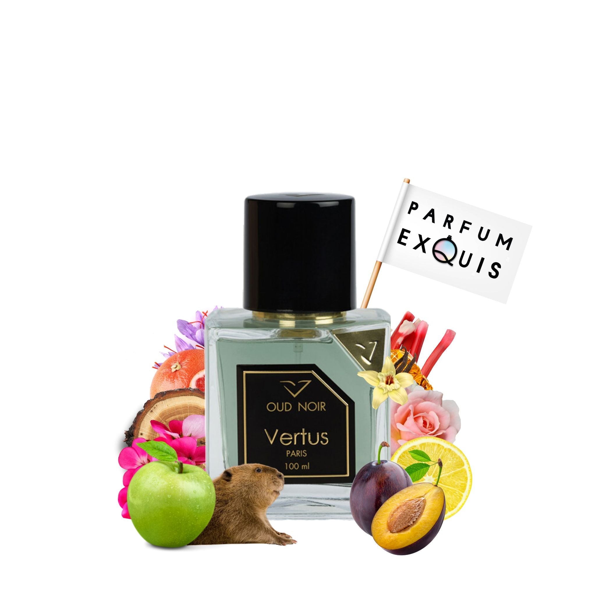 Oud Noir Vertus Paris