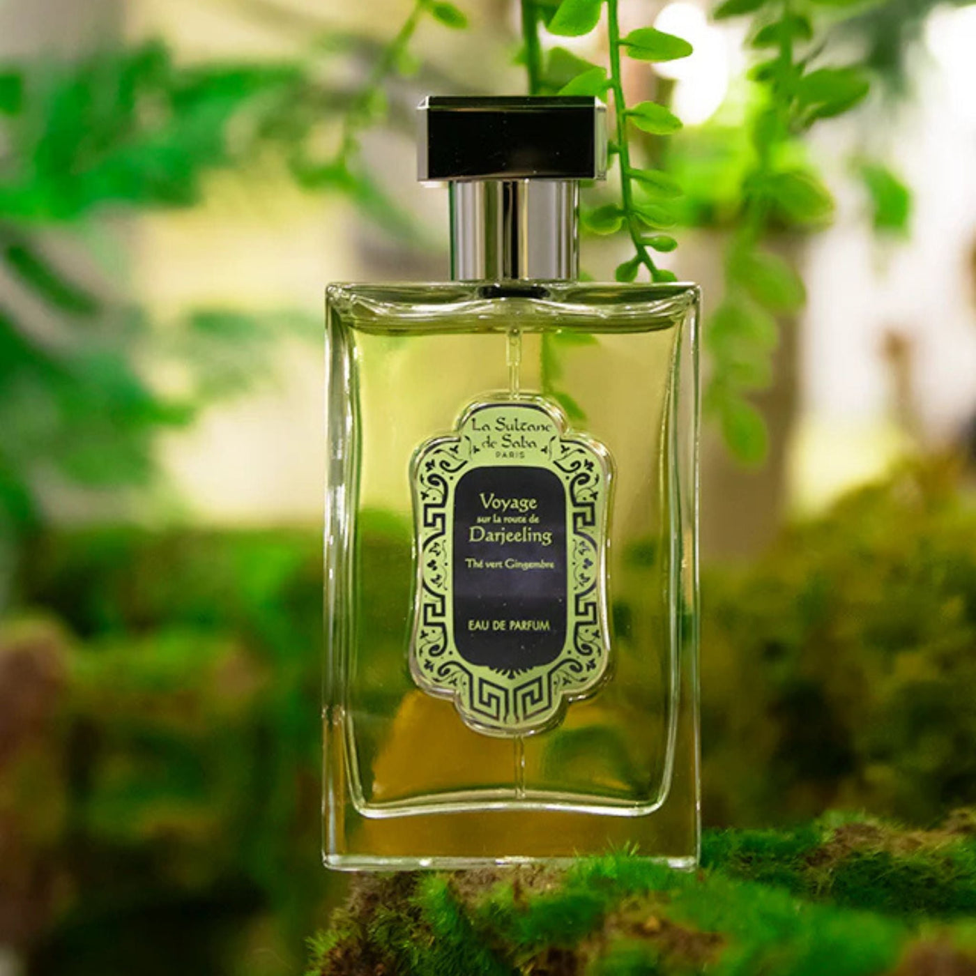 La Sultane de Saba Perfume Ginger Green Tea 