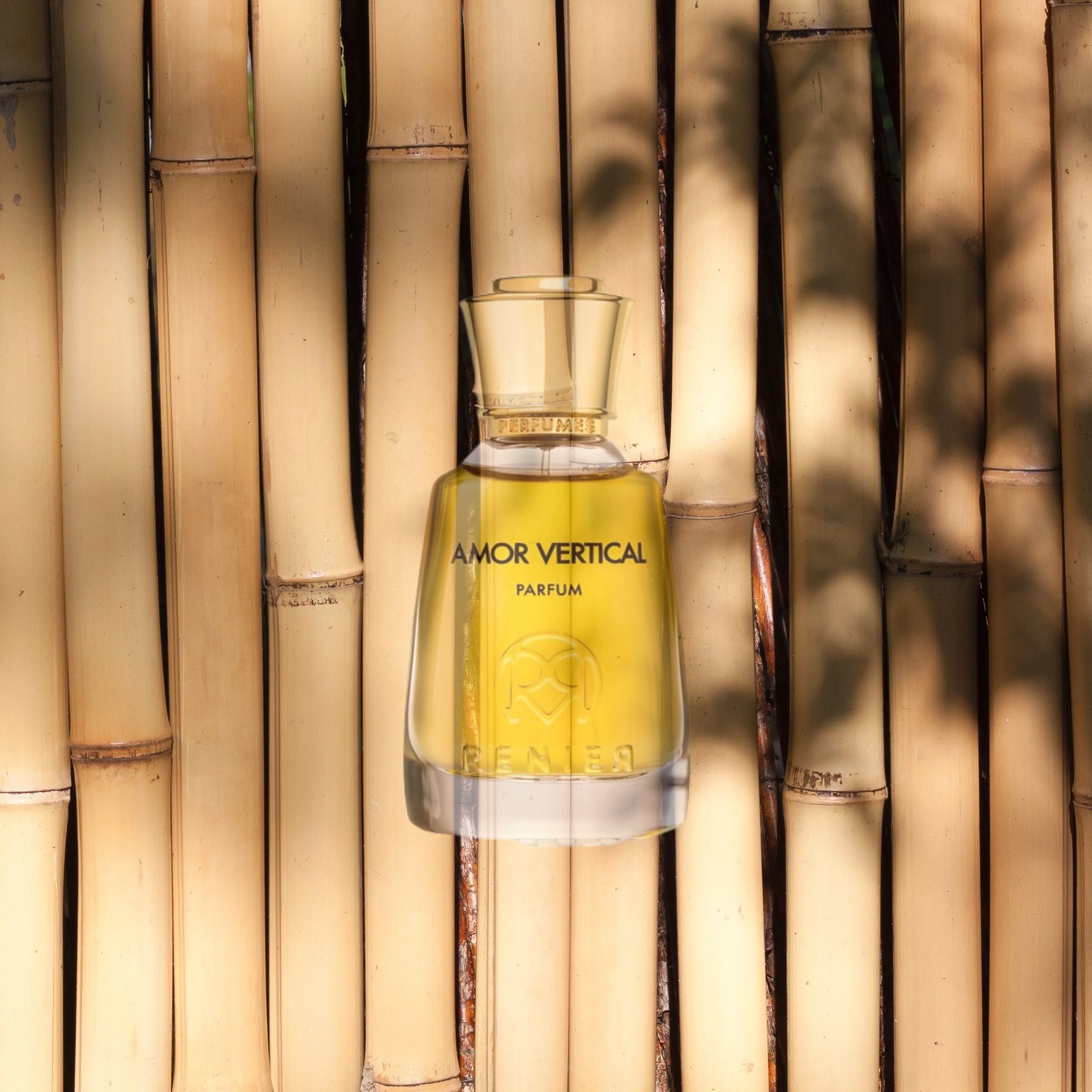Amor Vertical